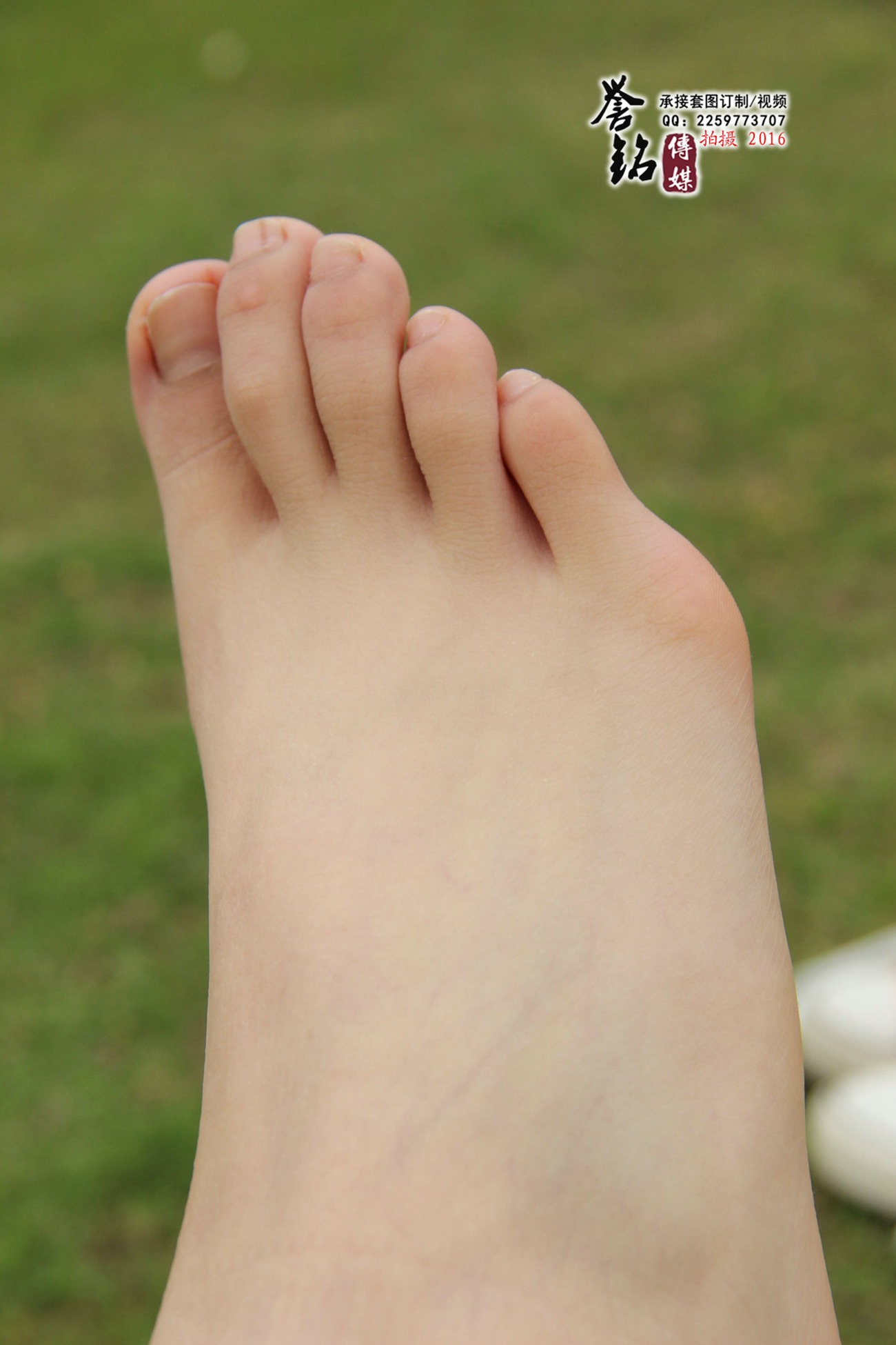 图片[95]-誉铭传媒054- 2016《五十四》[124P] – 速更版-美库