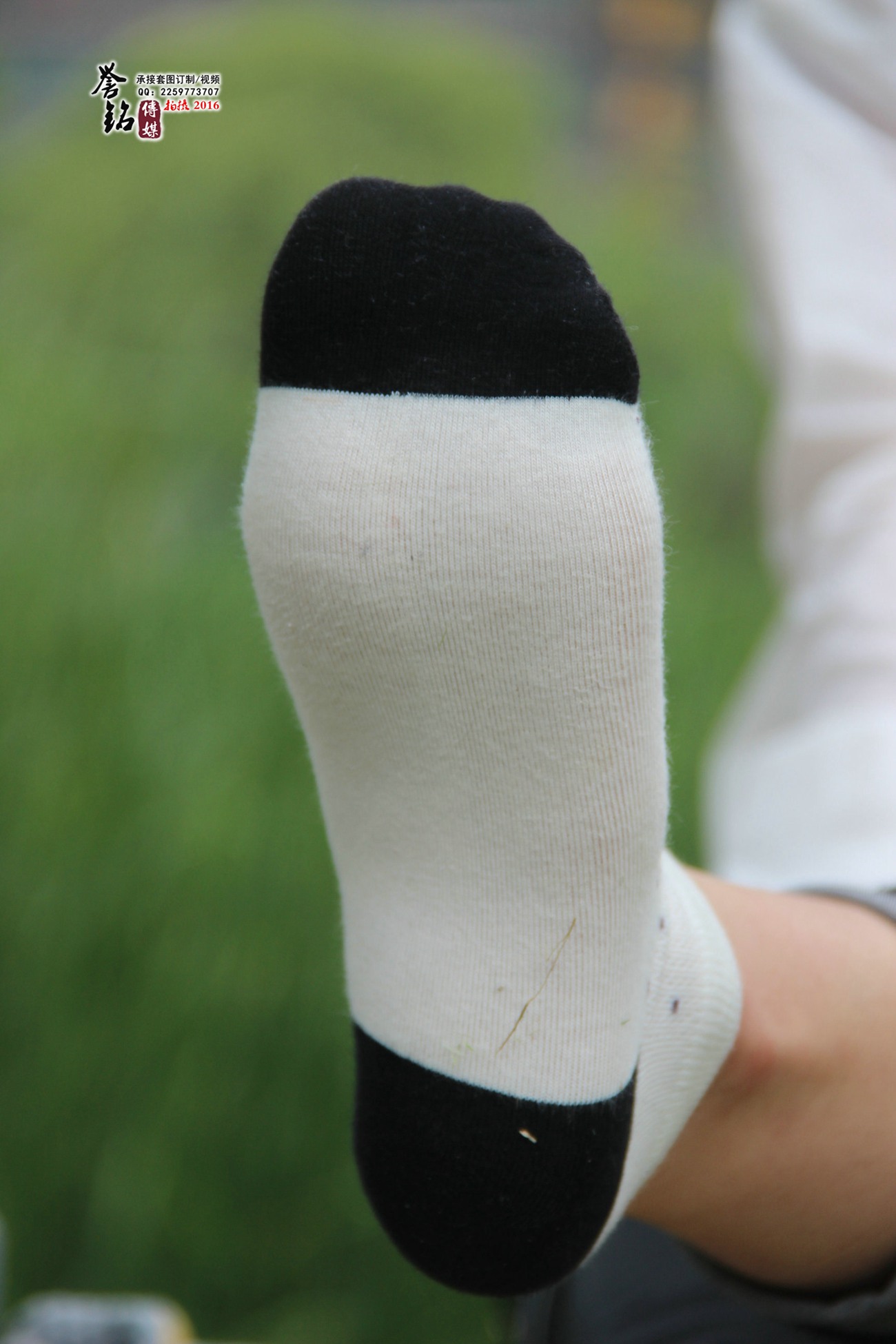 图片[128]-誉铭传媒055- 2016《五十五》[130P] – 速更版-美库