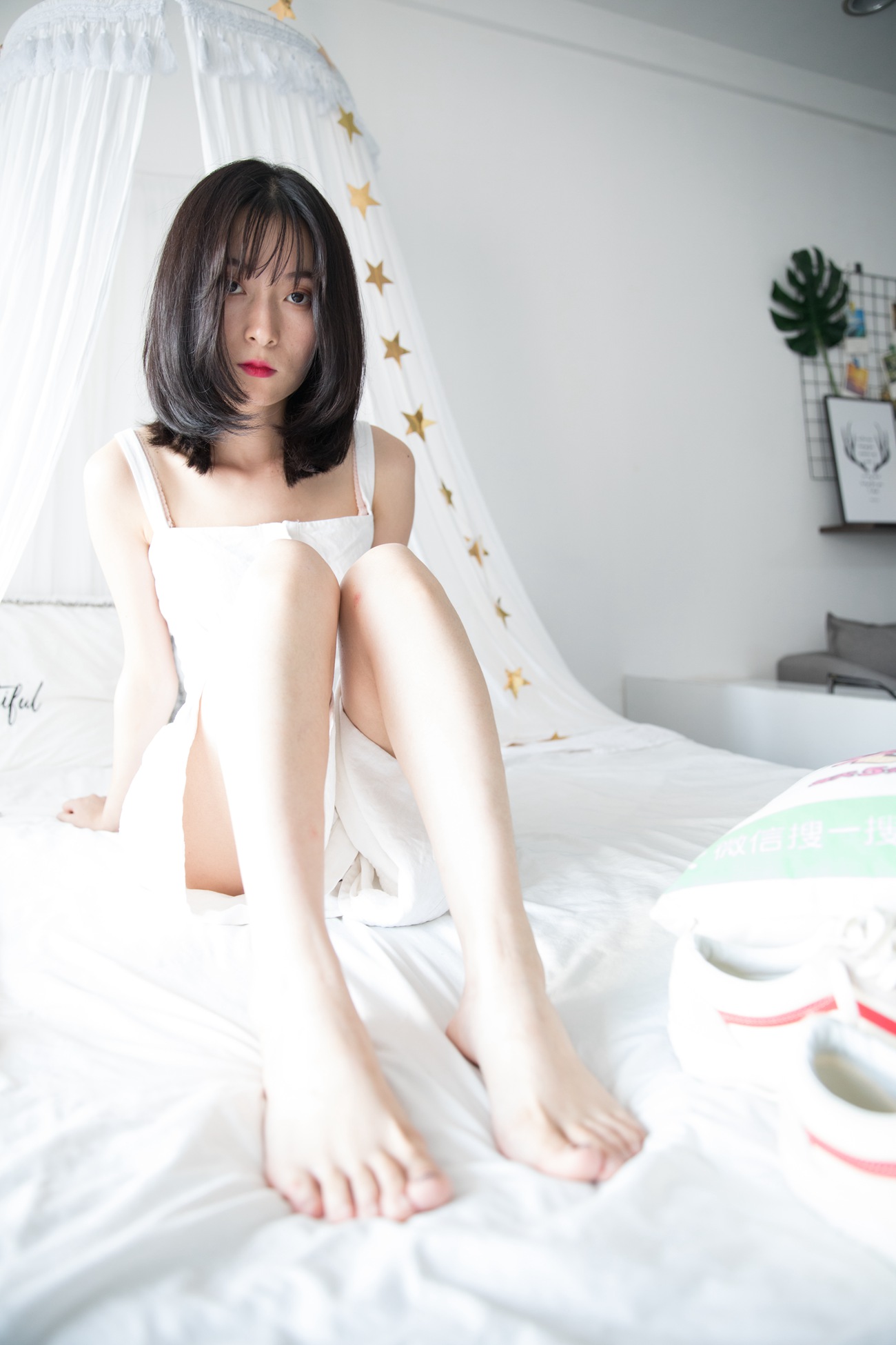 图片[194]-物恋传媒 NO.204 猫耳-纯白公主梦[237P] – 速更版-美库