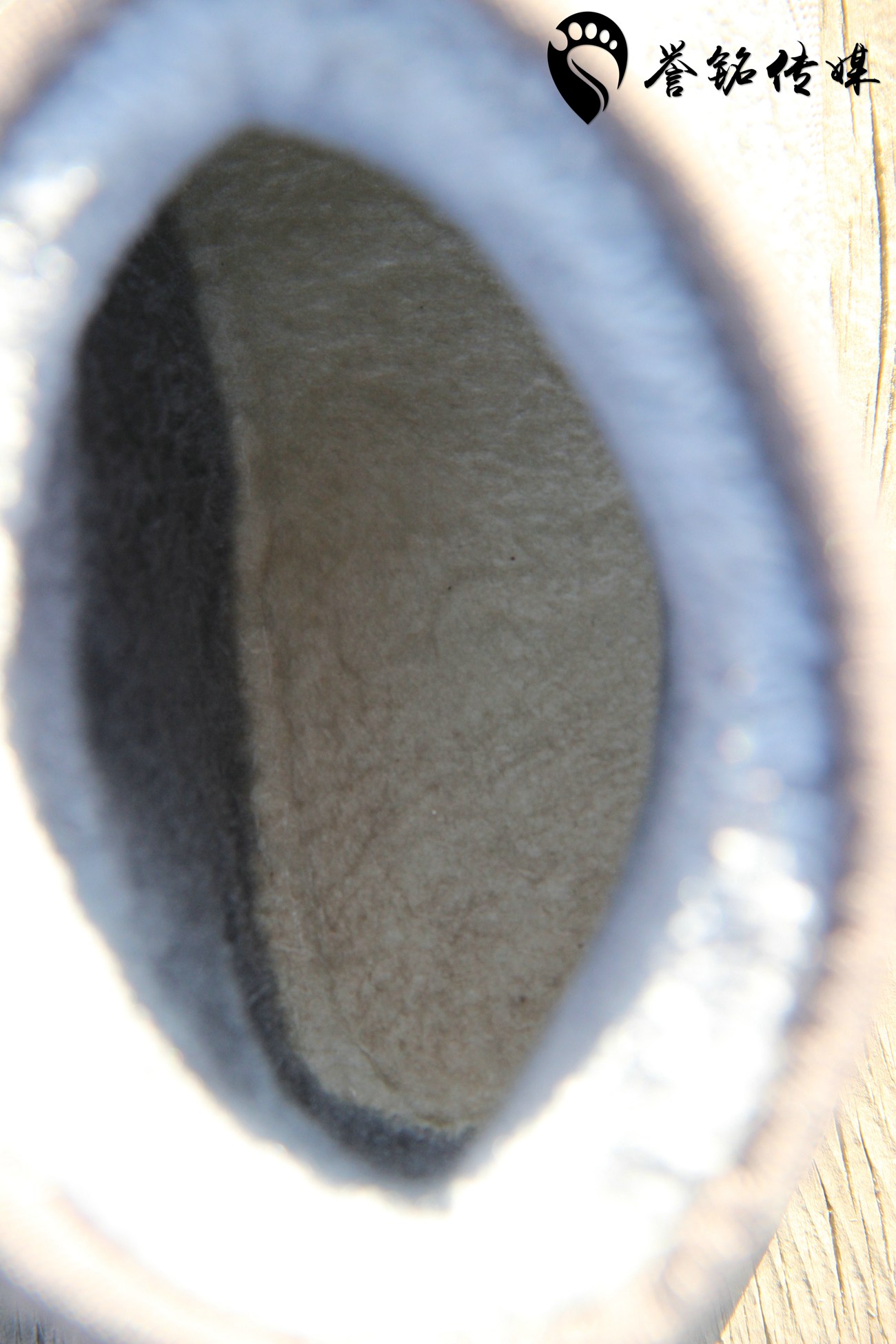 图片[40]-誉铭传媒002- 2017《2017.12.17定制作品》[140P] – 速更版-美库