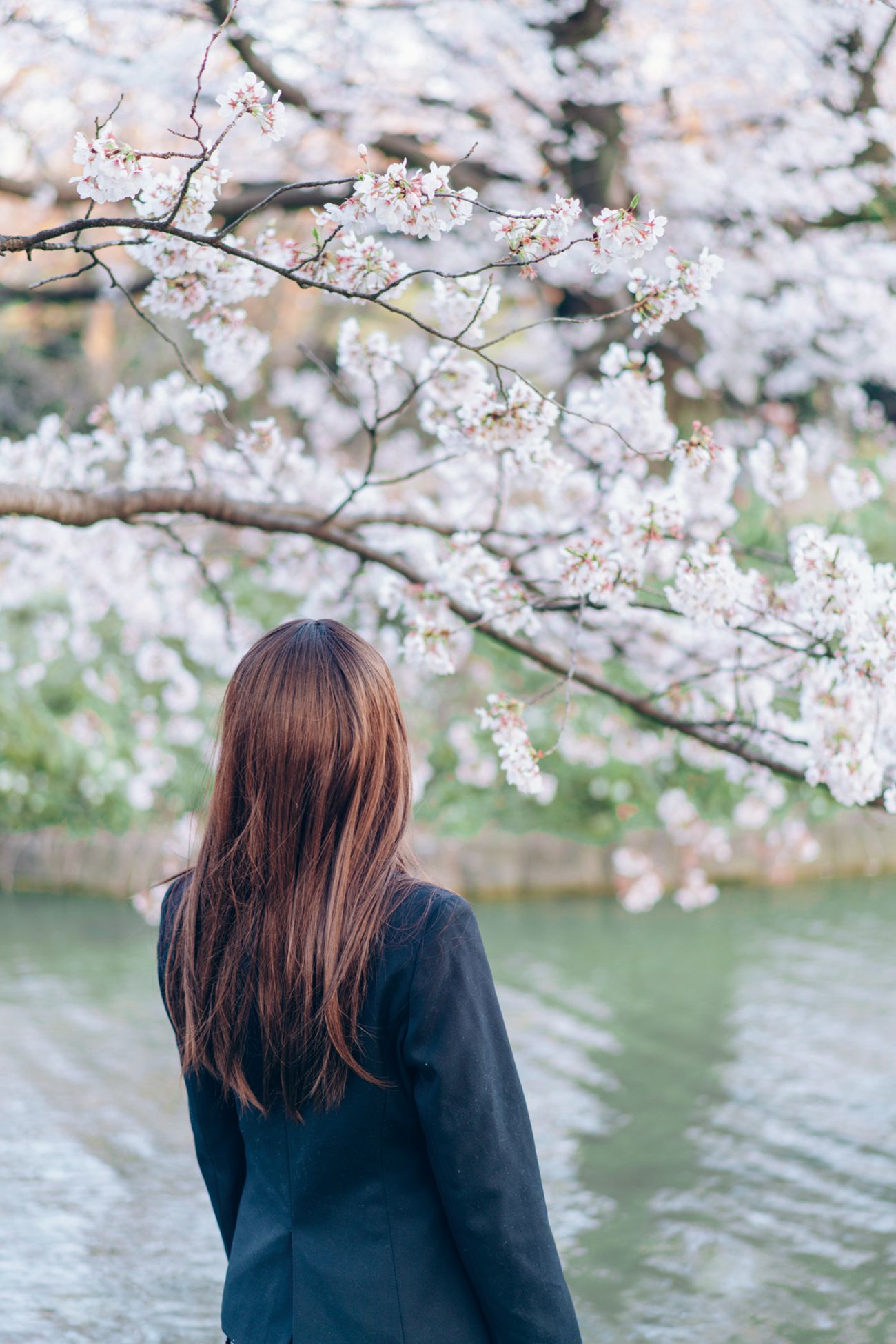 图片[39]-霜月shimo – SPRING[54P] – 速更版-美库