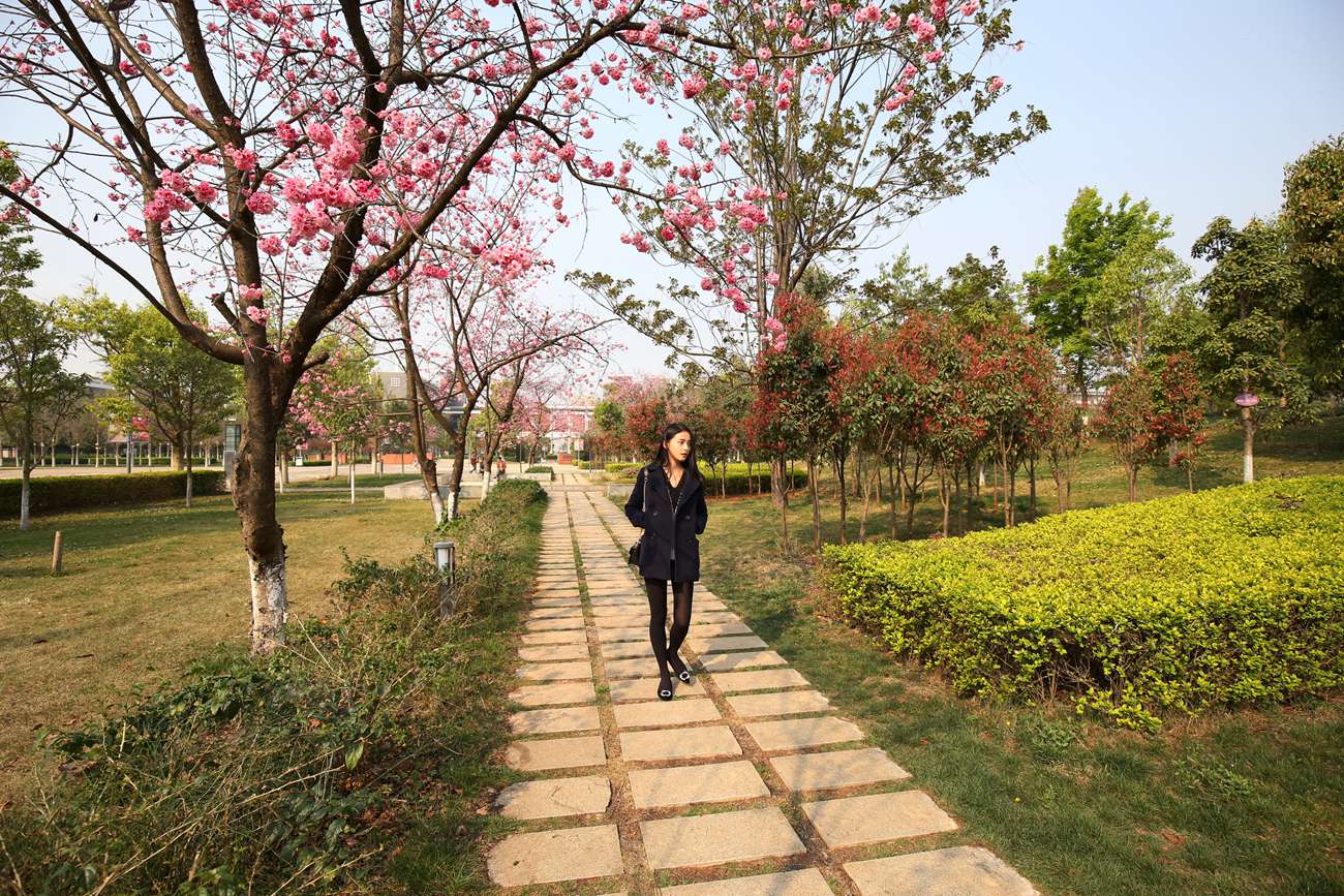 图片[121]-大西瓜爱牙膏-早期作品-S019 黑丝 1 [140P] – 速更版-美库