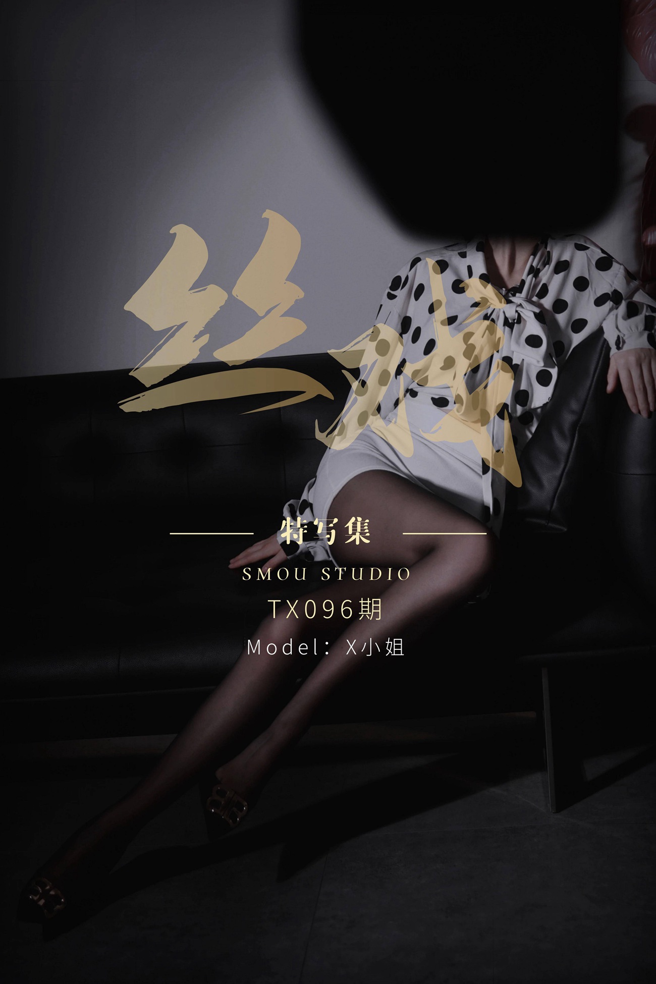 图片[82]-[丝慕GIRL]特写集 TX096 X小姐[81P] – 速更版-美库