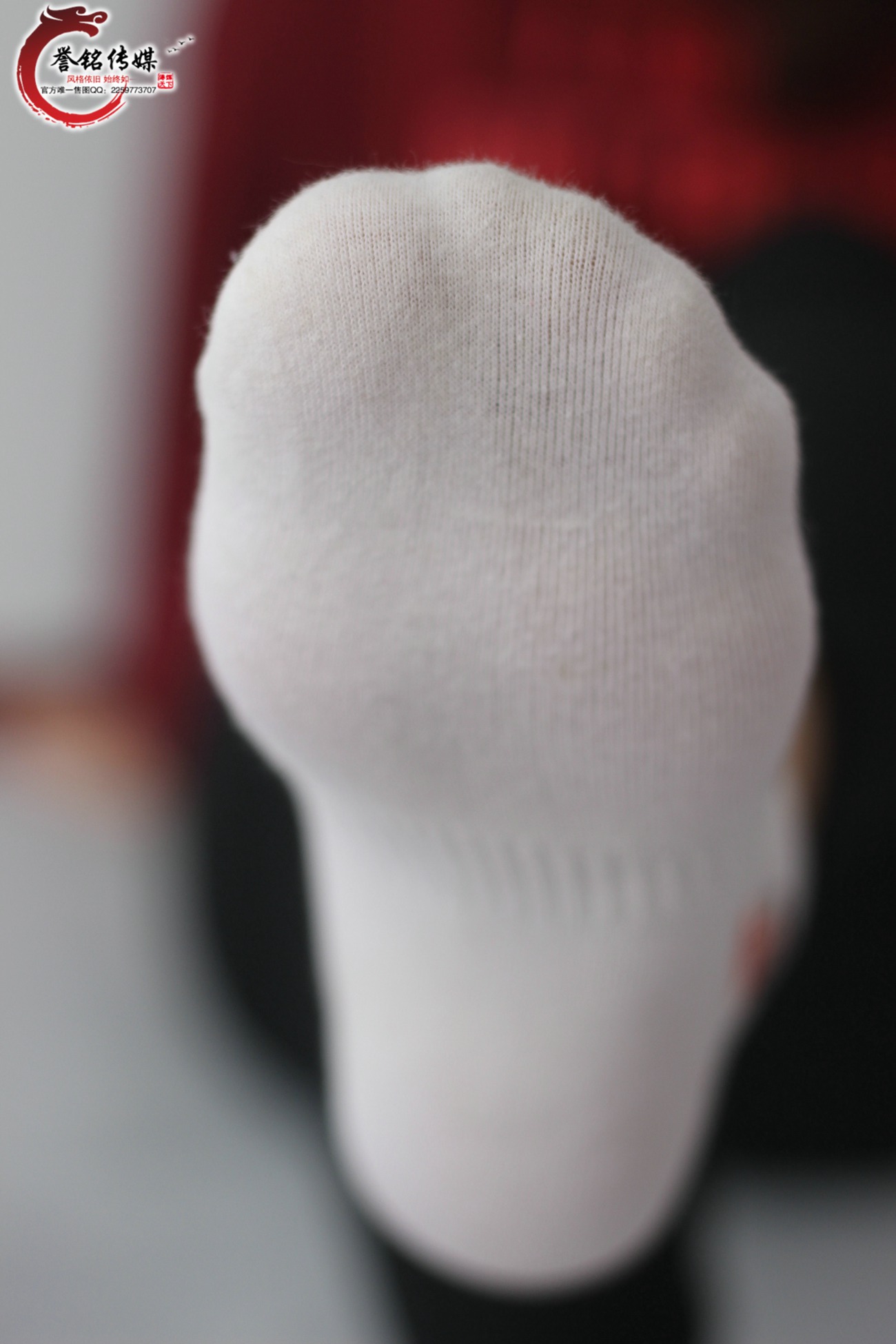 图片[77]-誉铭传媒084- 2017《八十四》[114P] – 速更版-美库