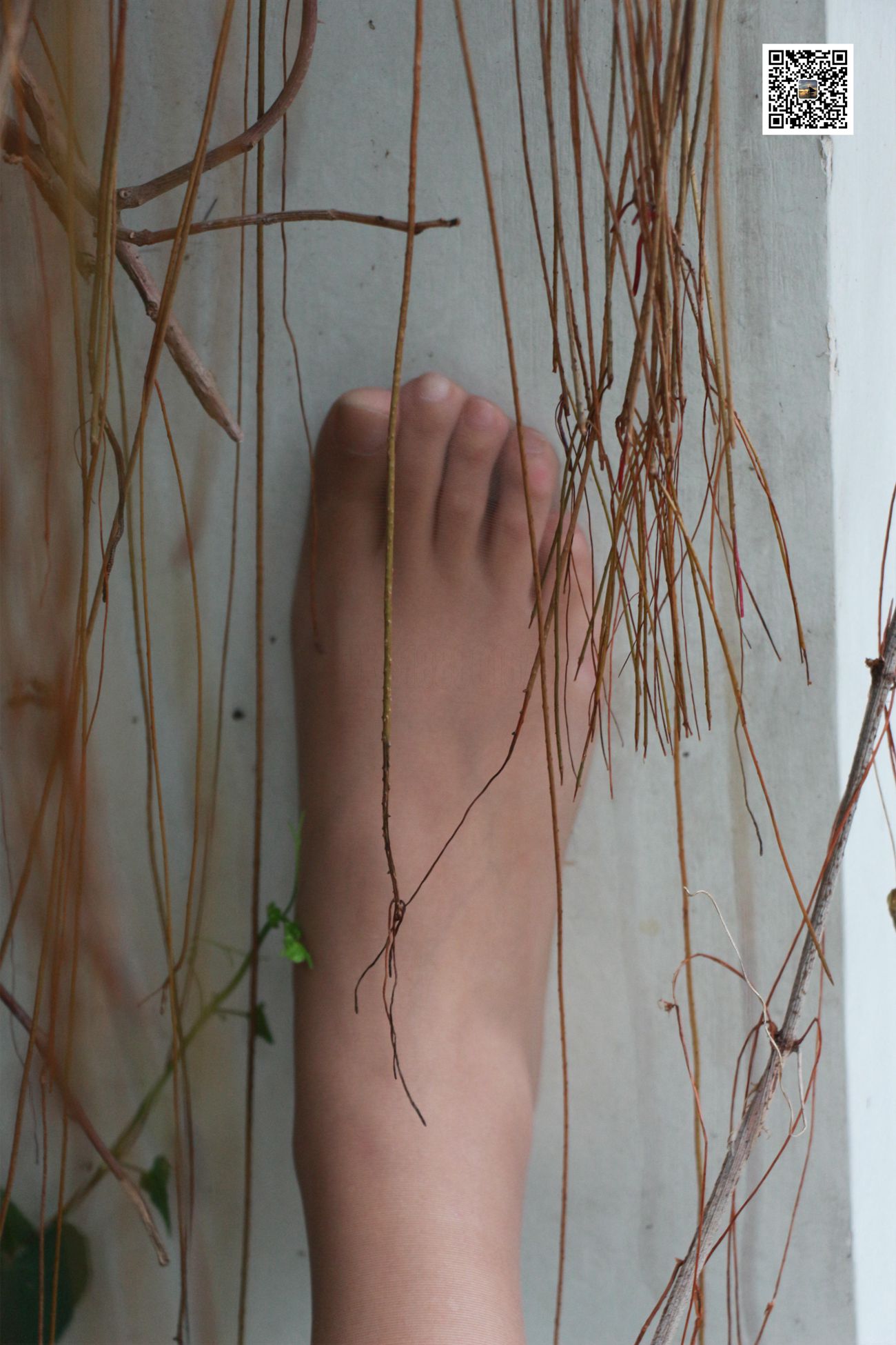 图片[41]-[MussGirl慕丝女郎] 学妹系列10 慕丝女郎也有学妹范2[65P] – 速更版-美库