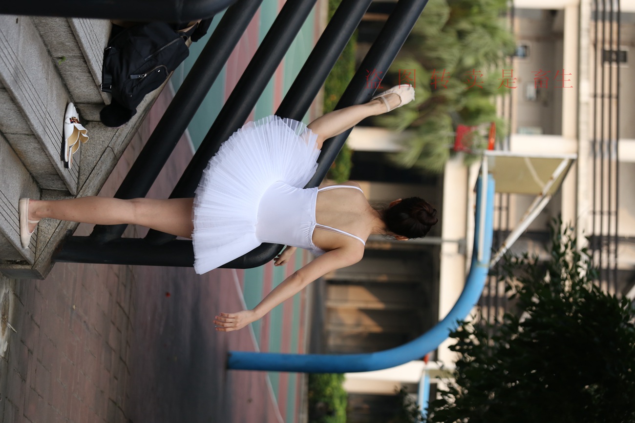 图片[310]-大西瓜爱牙膏-早期作品-S051 方案二 3 [480P] – 速更版-美库