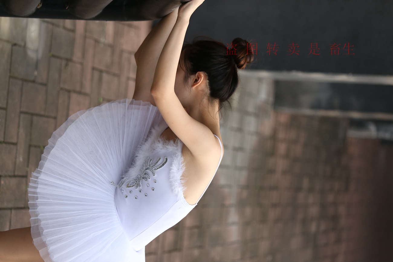 图片[313]-大西瓜爱牙膏-早期作品-S051 方案二 3 [480P] – 速更版-美库