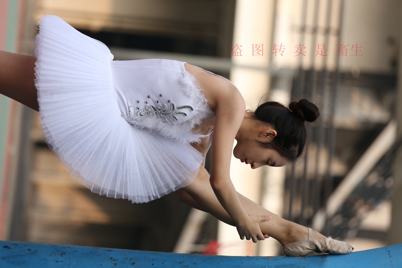 图片[323]-大西瓜爱牙膏-早期作品-S051 方案二 3 [480P] – 速更版-美库