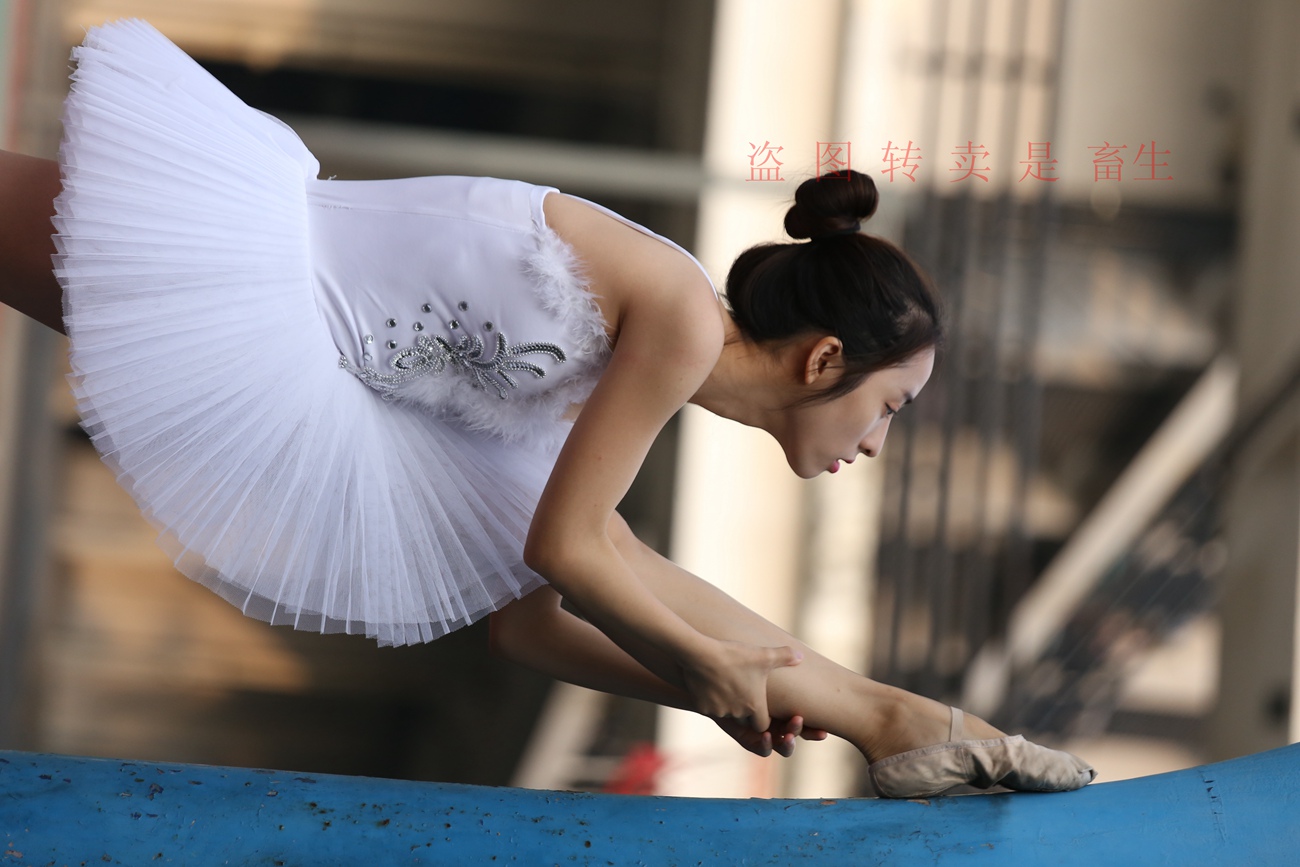 图片[324]-大西瓜爱牙膏-早期作品-S051 方案二 3 [480P] – 速更版-美库