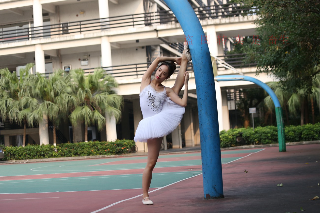 图片[325]-大西瓜爱牙膏-早期作品-S051 方案二 3 [480P] – 速更版-美库