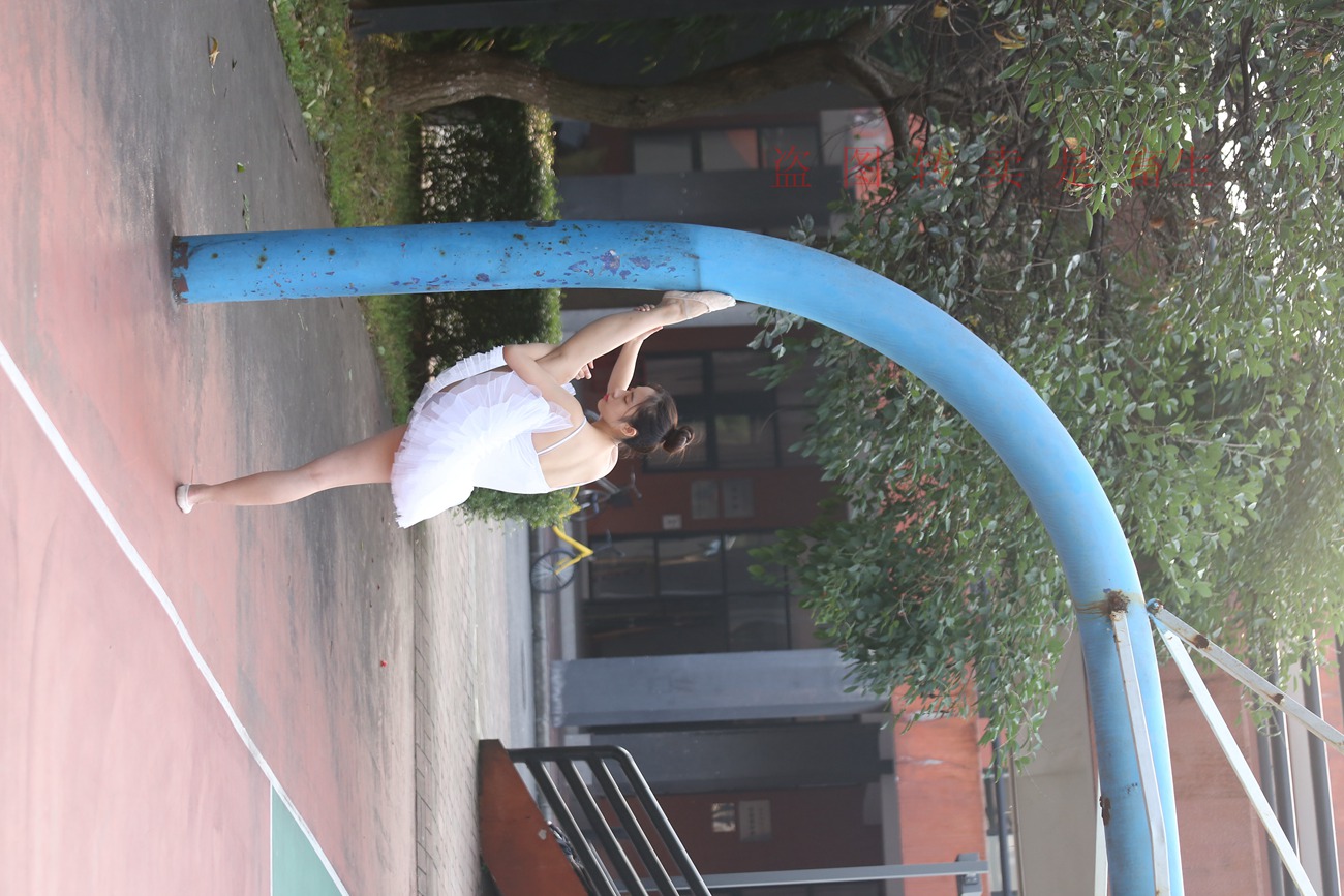 图片[328]-大西瓜爱牙膏-早期作品-S051 方案二 3 [480P] – 速更版-美库