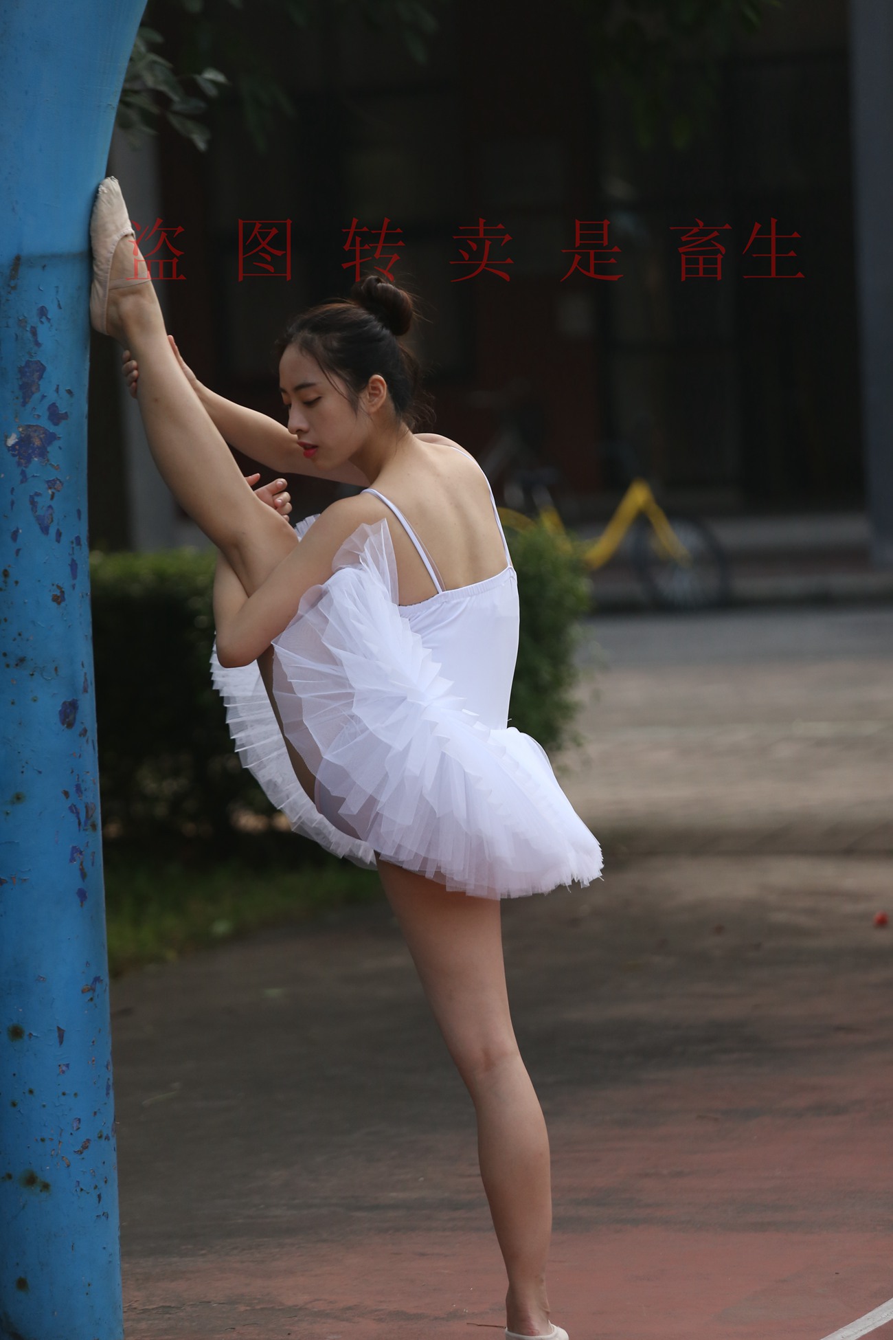 图片[329]-大西瓜爱牙膏-早期作品-S051 方案二 3 [480P] – 速更版-美库