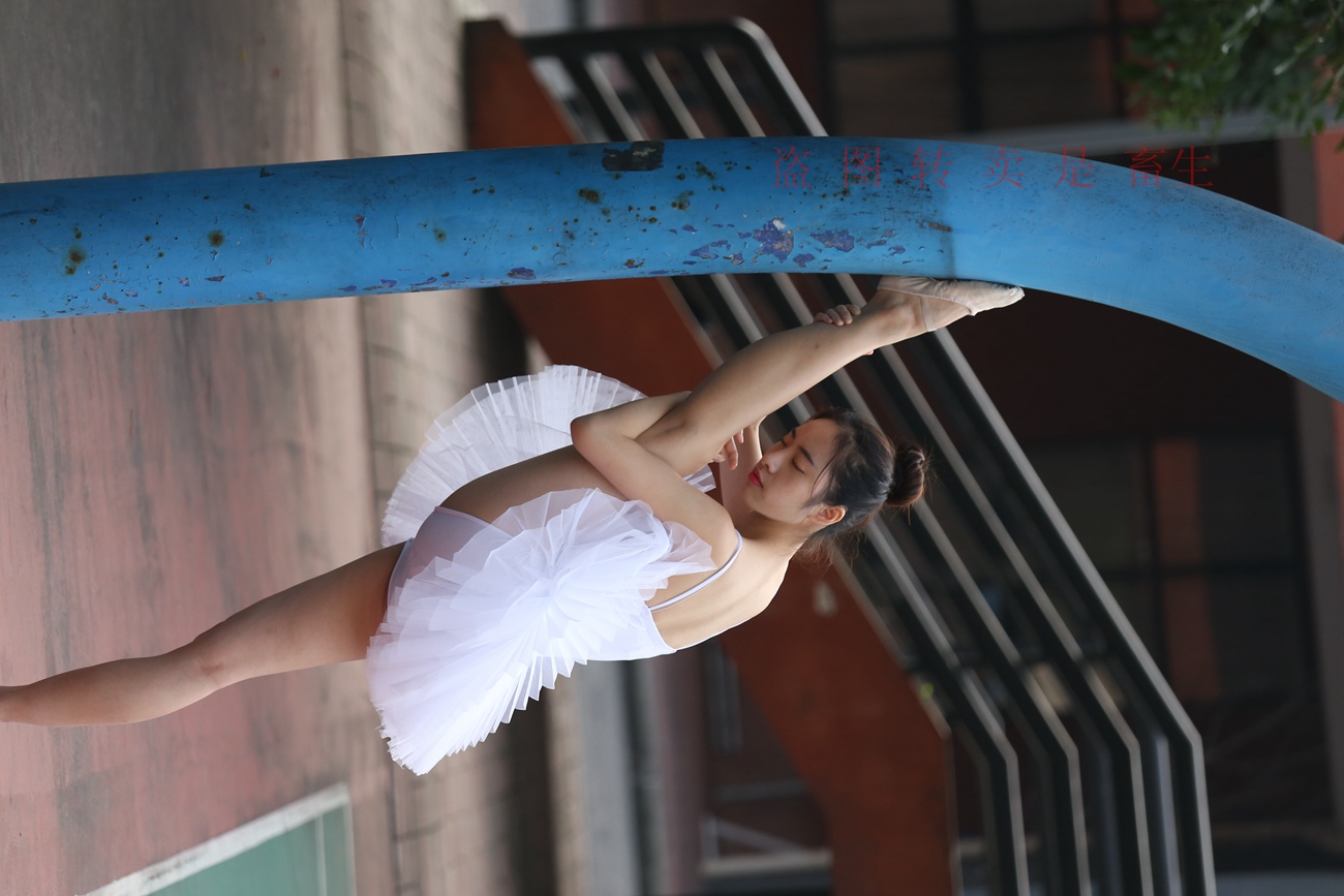 图片[330]-大西瓜爱牙膏-早期作品-S051 方案二 3 [480P] – 速更版-美库