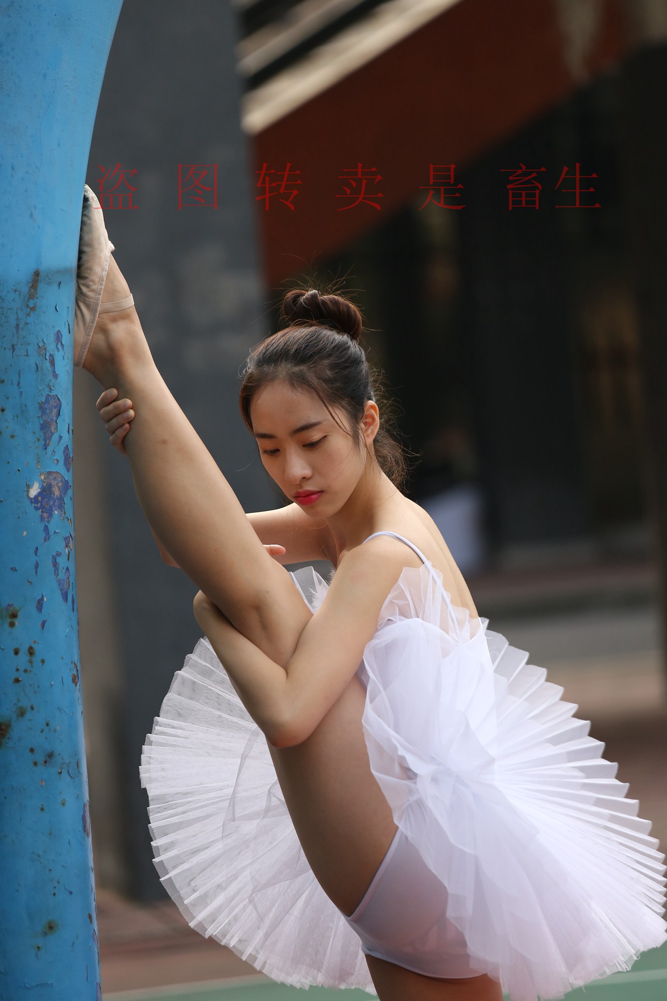 图片[332]-大西瓜爱牙膏-早期作品-S051 方案二 3 [480P] – 速更版-美库