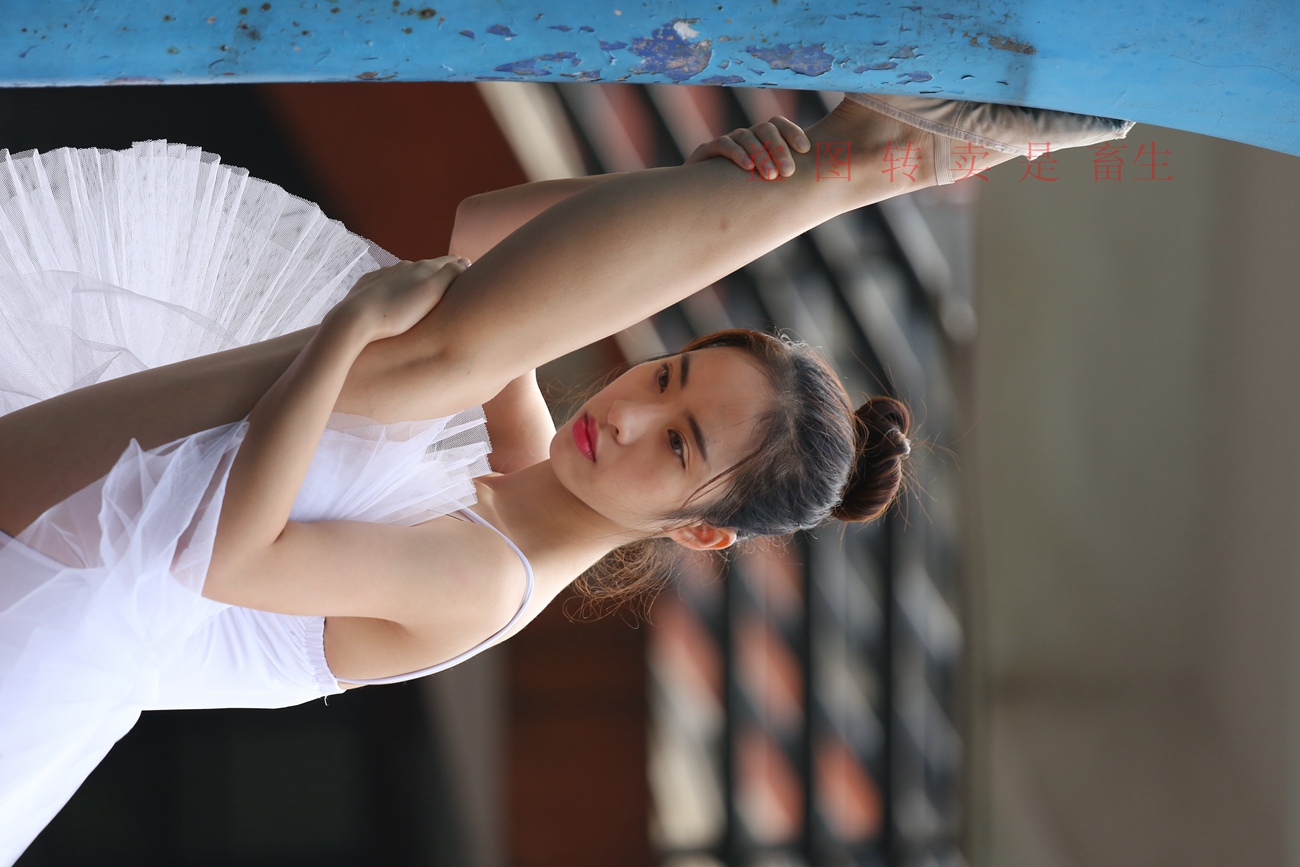 图片[336]-大西瓜爱牙膏-早期作品-S051 方案二 3 [480P] – 速更版-美库