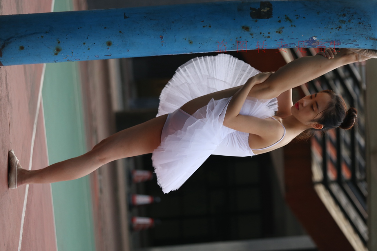 图片[337]-大西瓜爱牙膏-早期作品-S051 方案二 3 [480P] – 速更版-美库