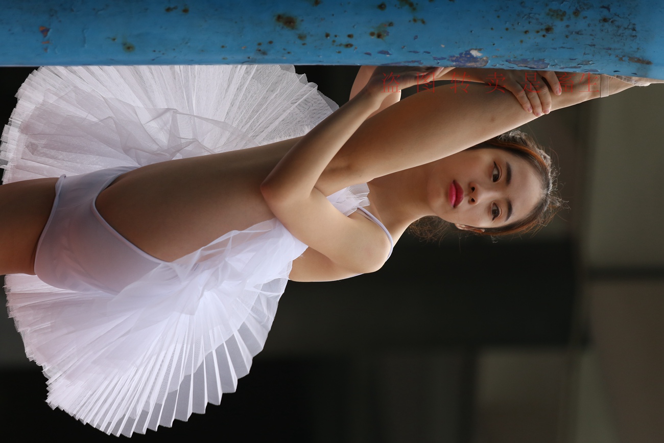 图片[338]-大西瓜爱牙膏-早期作品-S051 方案二 3 [480P] – 速更版-美库