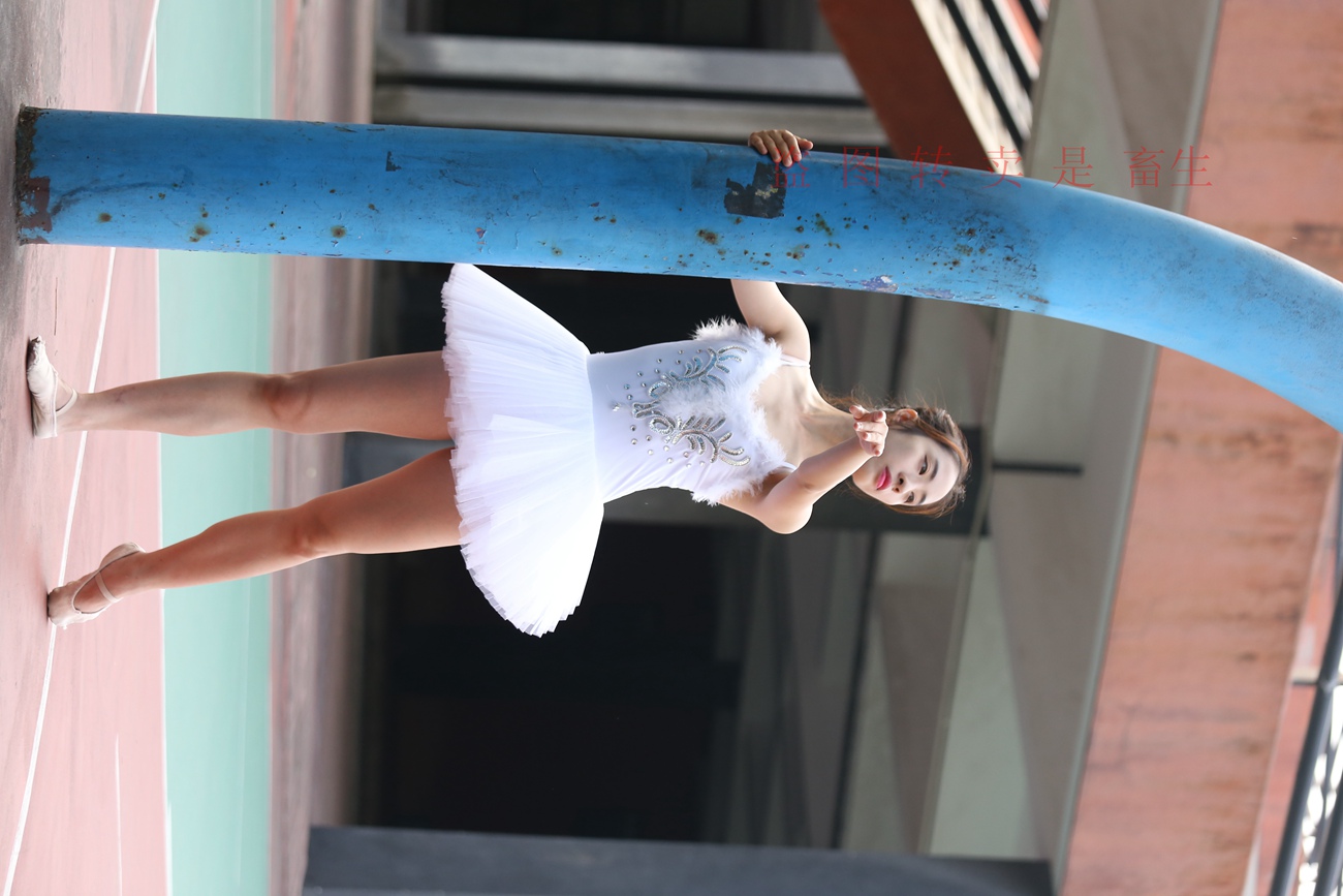 图片[340]-大西瓜爱牙膏-早期作品-S051 方案二 3 [480P] – 速更版-美库