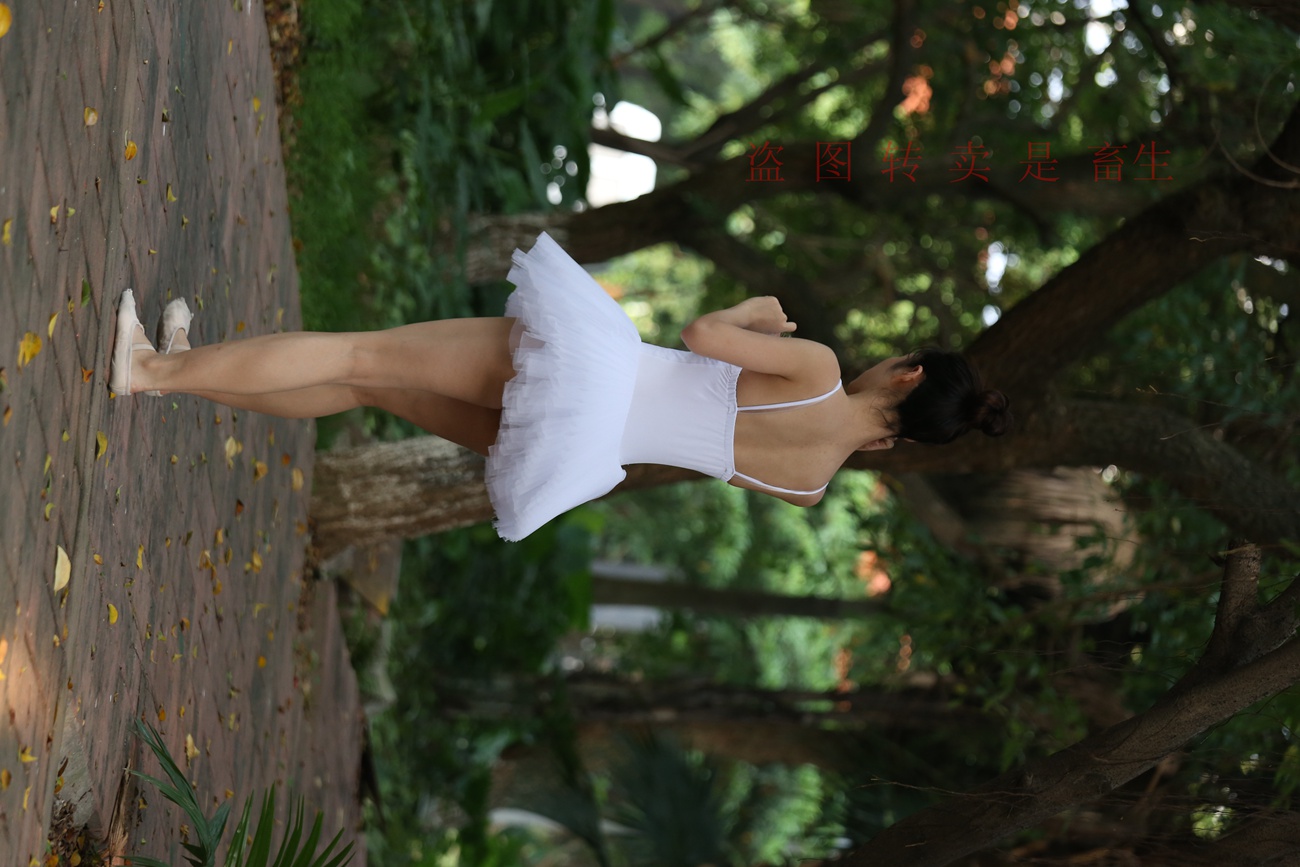 图片[364]-大西瓜爱牙膏-早期作品-S051 方案二 3 [480P] – 速更版-美库