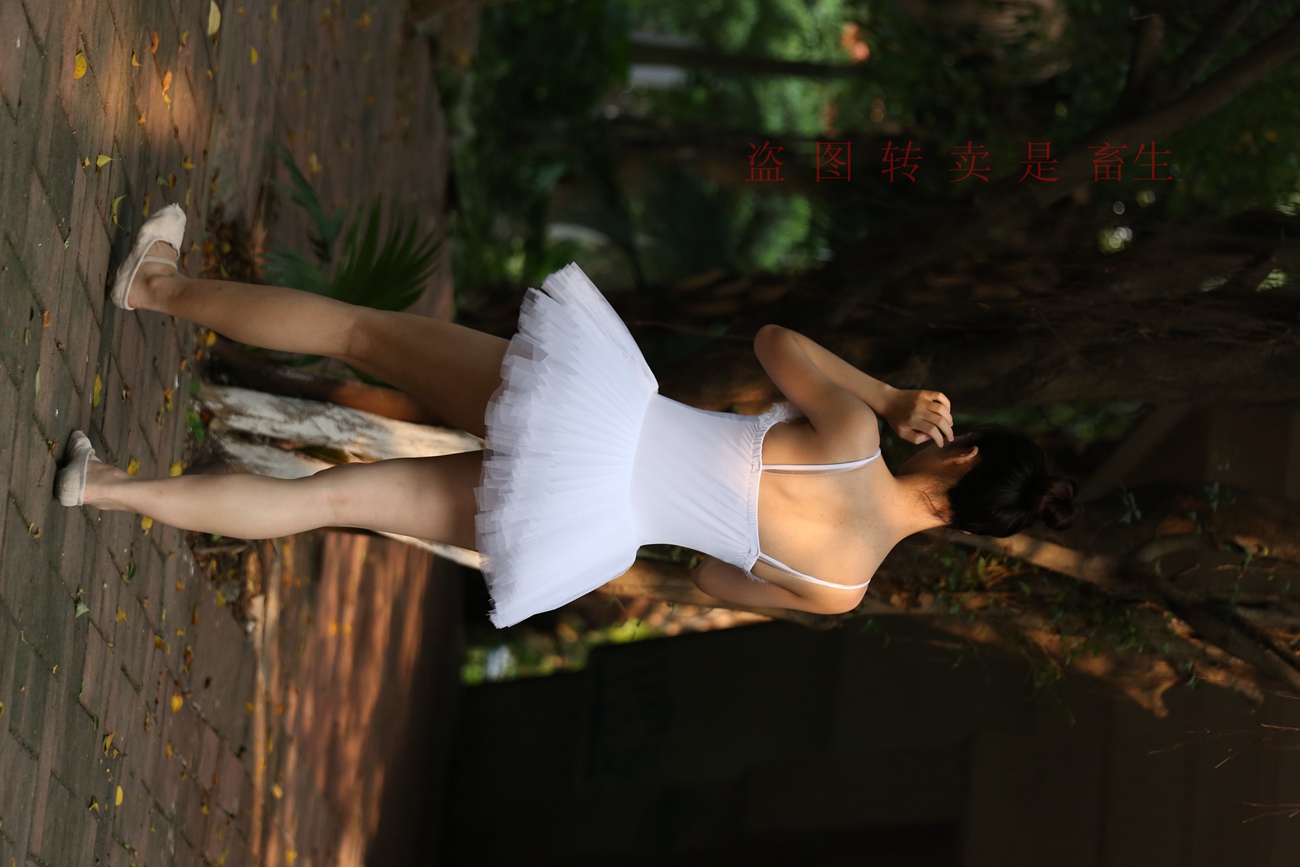 图片[363]-大西瓜爱牙膏-早期作品-S051 方案二 3 [480P] – 速更版-美库