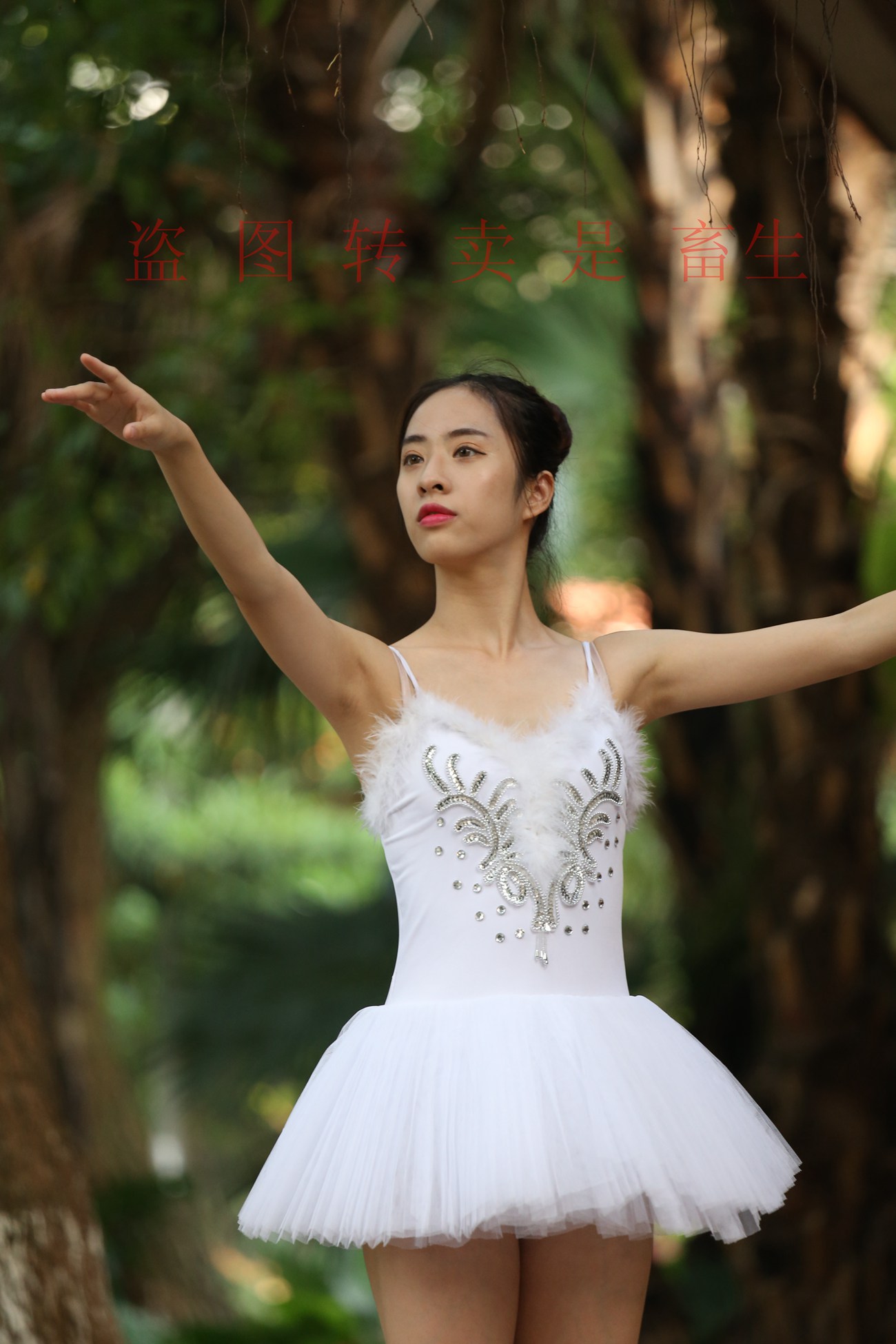 图片[366]-大西瓜爱牙膏-早期作品-S051 方案二 3 [480P] – 速更版-美库