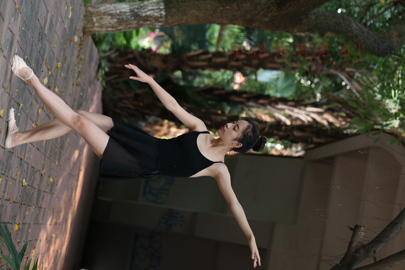 图片[373]-大西瓜爱牙膏-早期作品-S051 方案二 3 [480P] – 速更版-美库