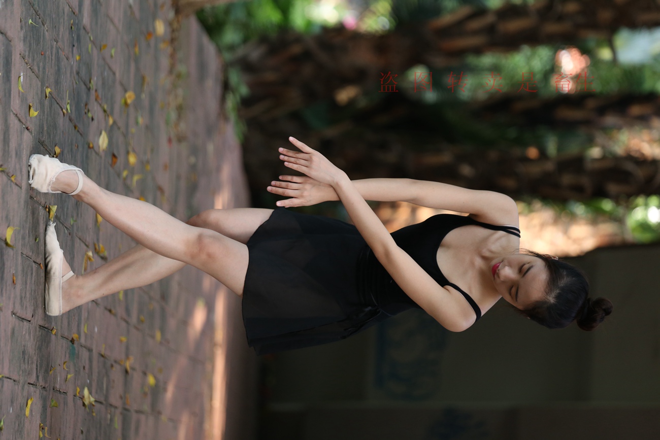 图片[378]-大西瓜爱牙膏-早期作品-S051 方案二 3 [480P] – 速更版-美库