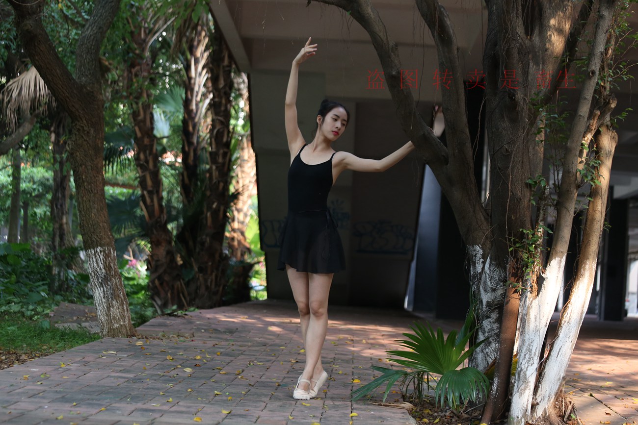 图片[377]-大西瓜爱牙膏-早期作品-S051 方案二 3 [480P] – 速更版-美库