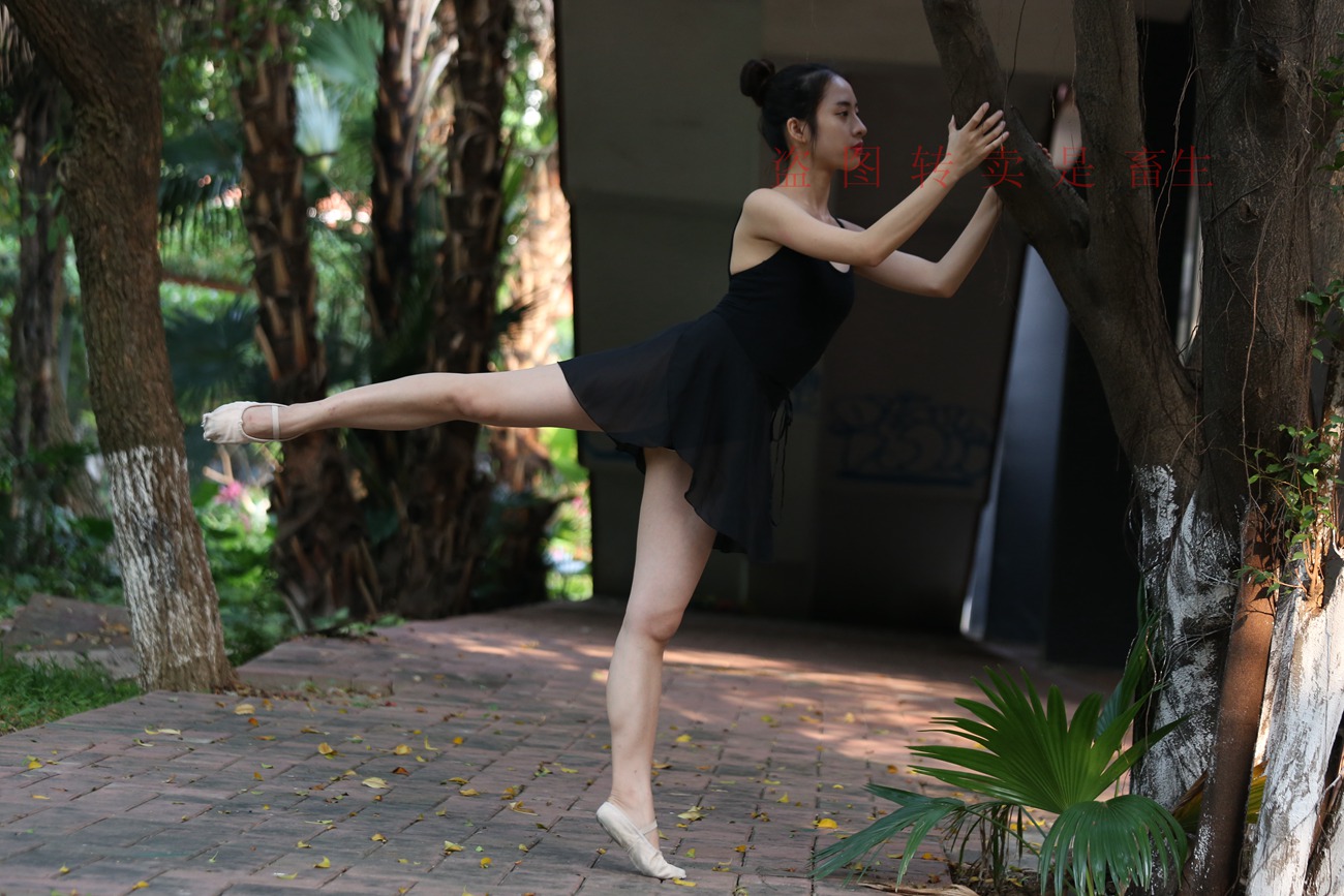 图片[376]-大西瓜爱牙膏-早期作品-S051 方案二 3 [480P] – 速更版-美库