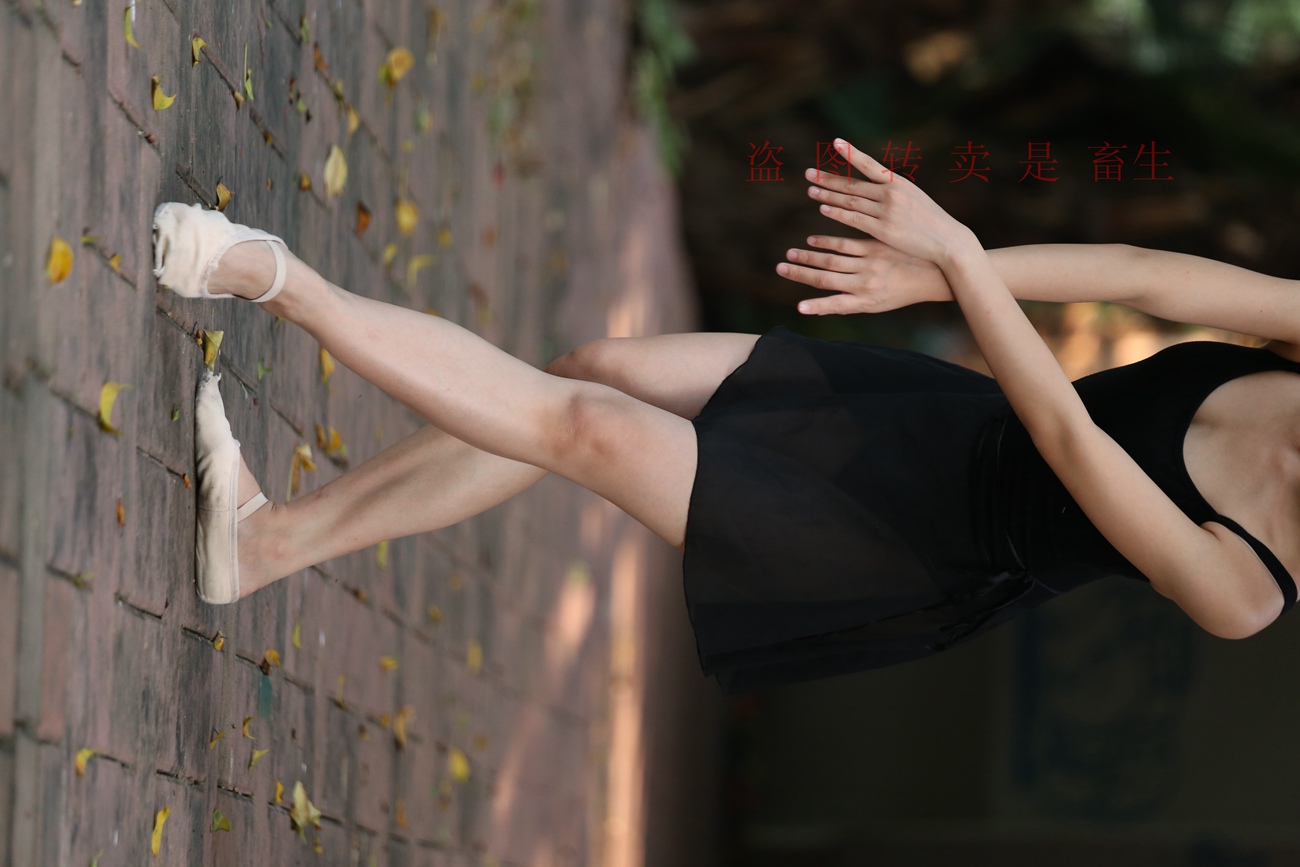 图片[379]-大西瓜爱牙膏-早期作品-S051 方案二 3 [480P] – 速更版-美库