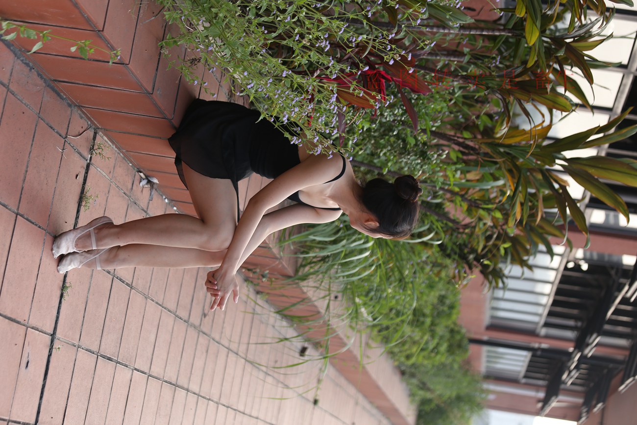 图片[392]-大西瓜爱牙膏-早期作品-S051 方案二 3 [480P] – 速更版-美库