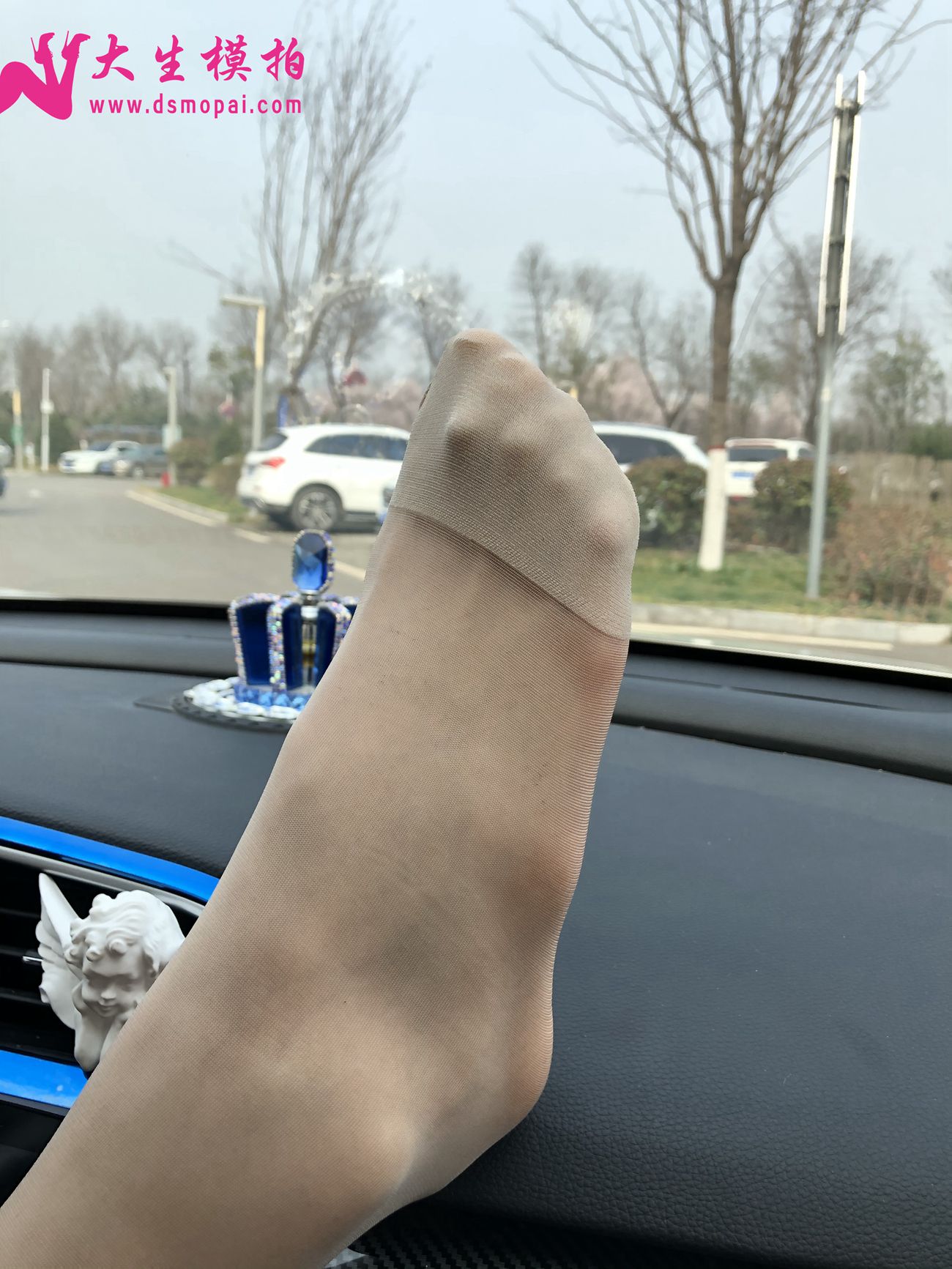 图片[50]-大生模拍 NO.250 粉丝投稿1-肉丝篇[96P] – 速更版-美库