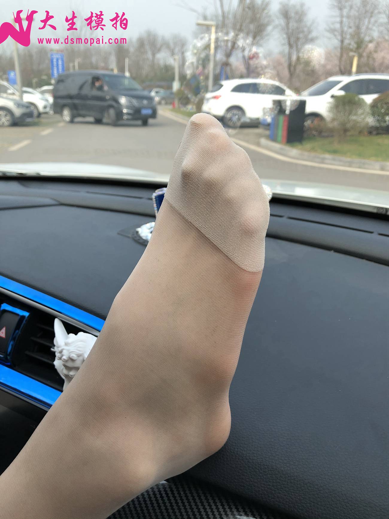 图片[51]-大生模拍 NO.250 粉丝投稿1-肉丝篇[96P] – 速更版-美库