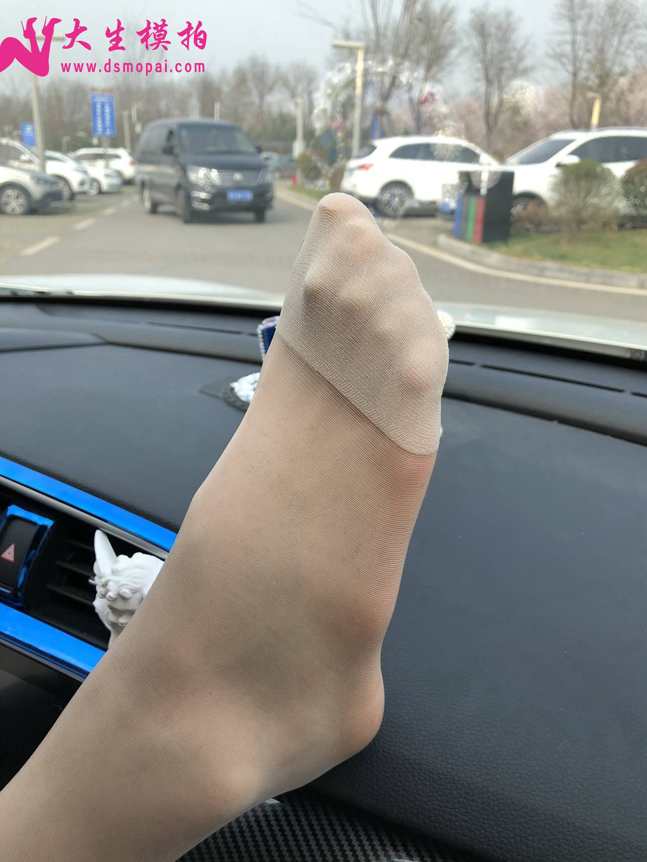 图片[52]-大生模拍 NO.250 粉丝投稿1-肉丝篇[96P] – 速更版-美库