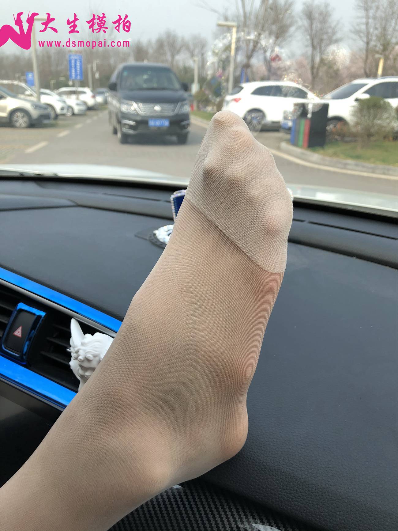 图片[53]-大生模拍 NO.250 粉丝投稿1-肉丝篇[96P] – 速更版-美库