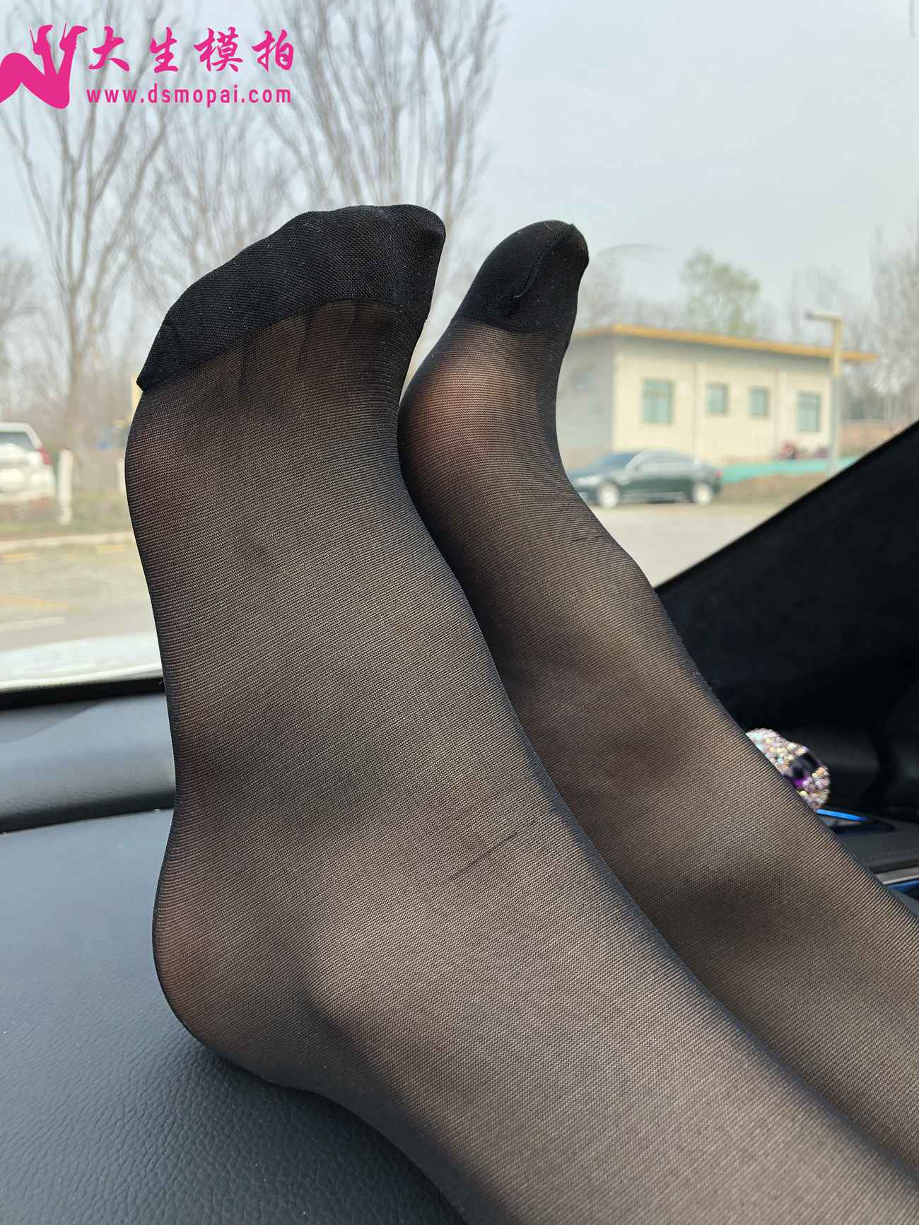 图片[63]-大生模拍 NO.251 粉丝投稿2-黑丝篇[247P] – 速更版-美库