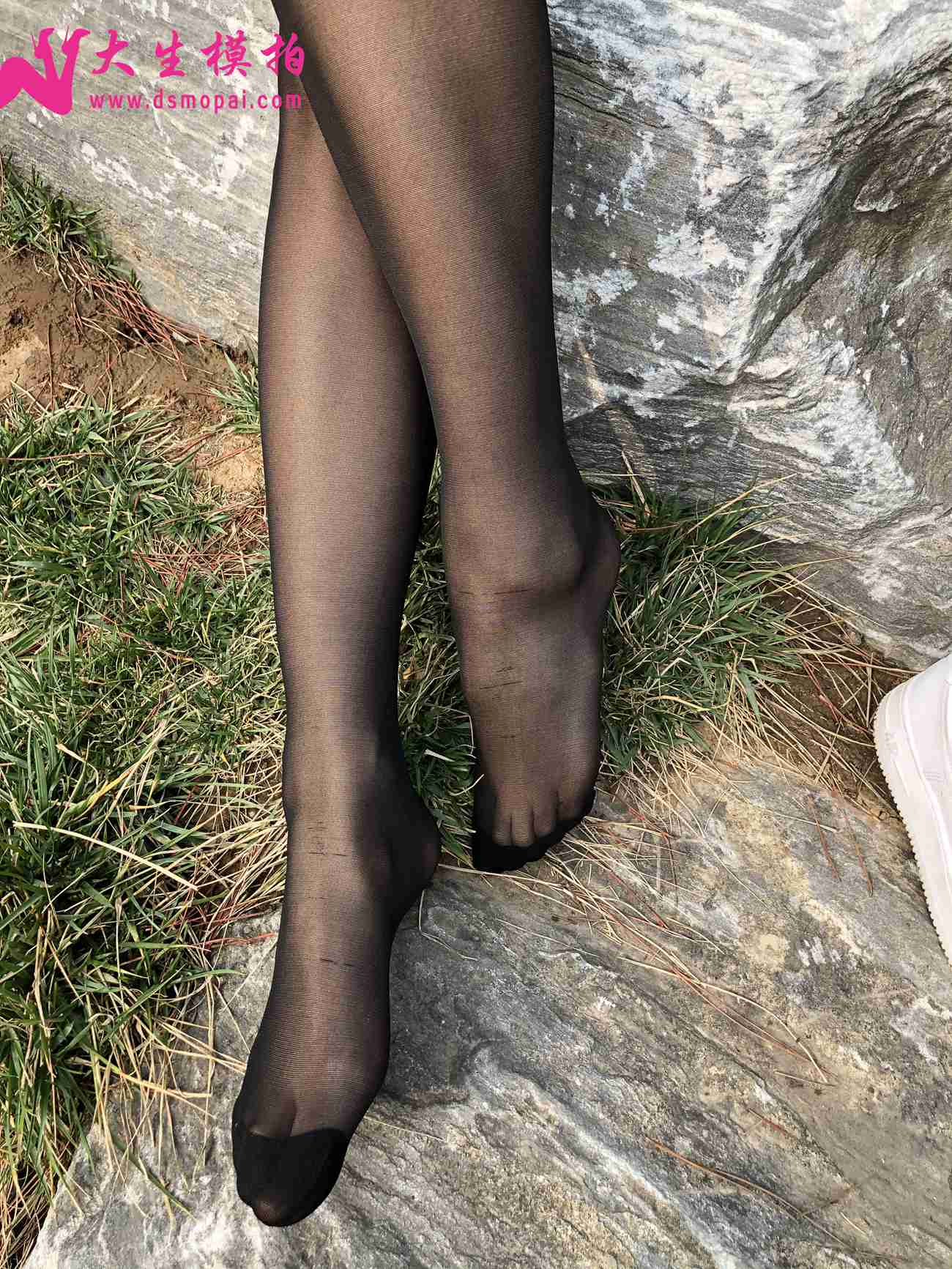 图片[185]-大生模拍 NO.251 粉丝投稿2-黑丝篇[247P] – 速更版-美库