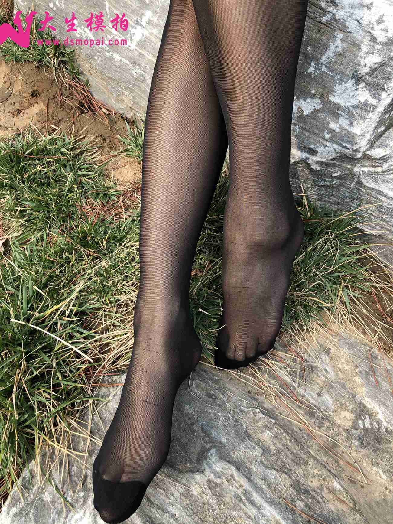 图片[186]-大生模拍 NO.251 粉丝投稿2-黑丝篇[247P] – 速更版-美库