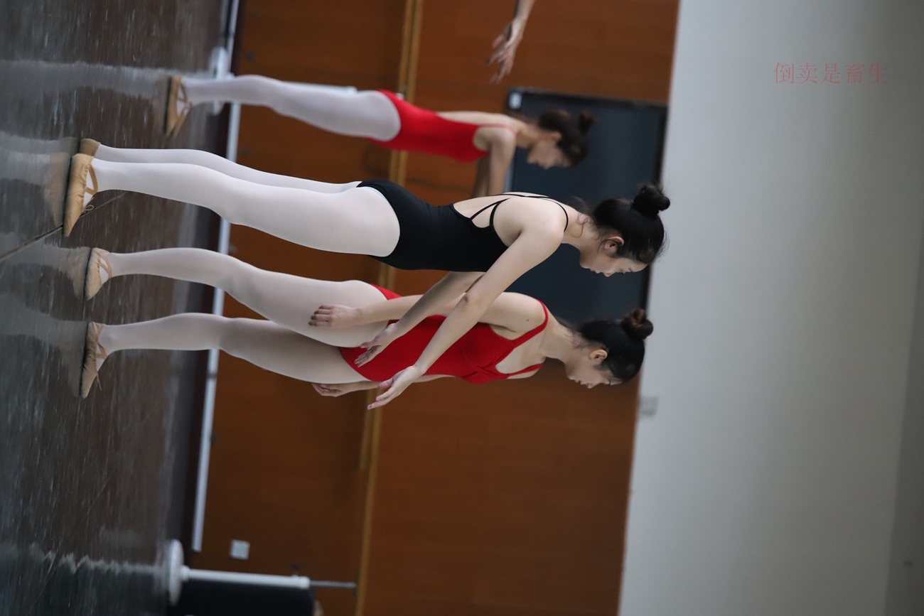 图片[14]-大西瓜爱牙膏-早期作品-W002 舞蹈服饰 003 [106P] – 速更版-美库