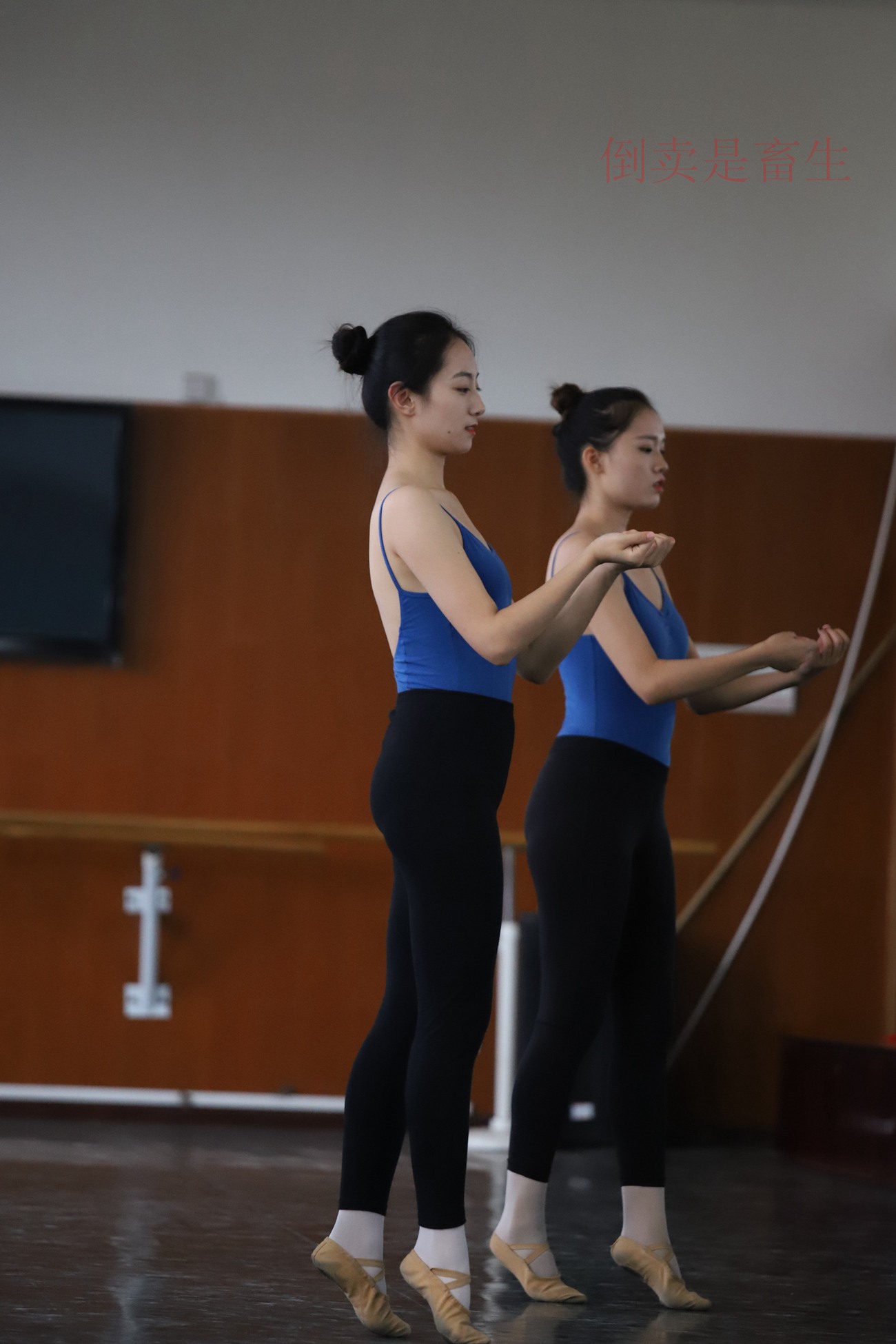 图片[22]-大西瓜爱牙膏-早期作品-W003 舞蹈芭裤 002 [154P] – 速更版-美库