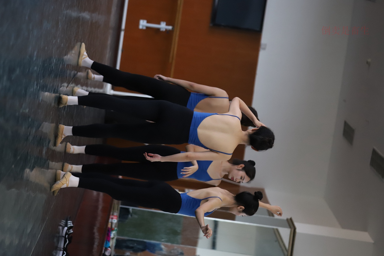 图片[100]-大西瓜爱牙膏-早期作品-W003 舞蹈芭裤 002 [154P] – 速更版-美库