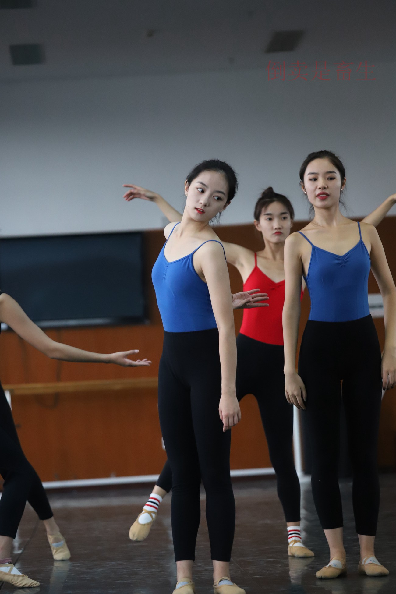 图片[119]-大西瓜爱牙膏-早期作品-W003 舞蹈芭裤 003 [153P] – 速更版-美库