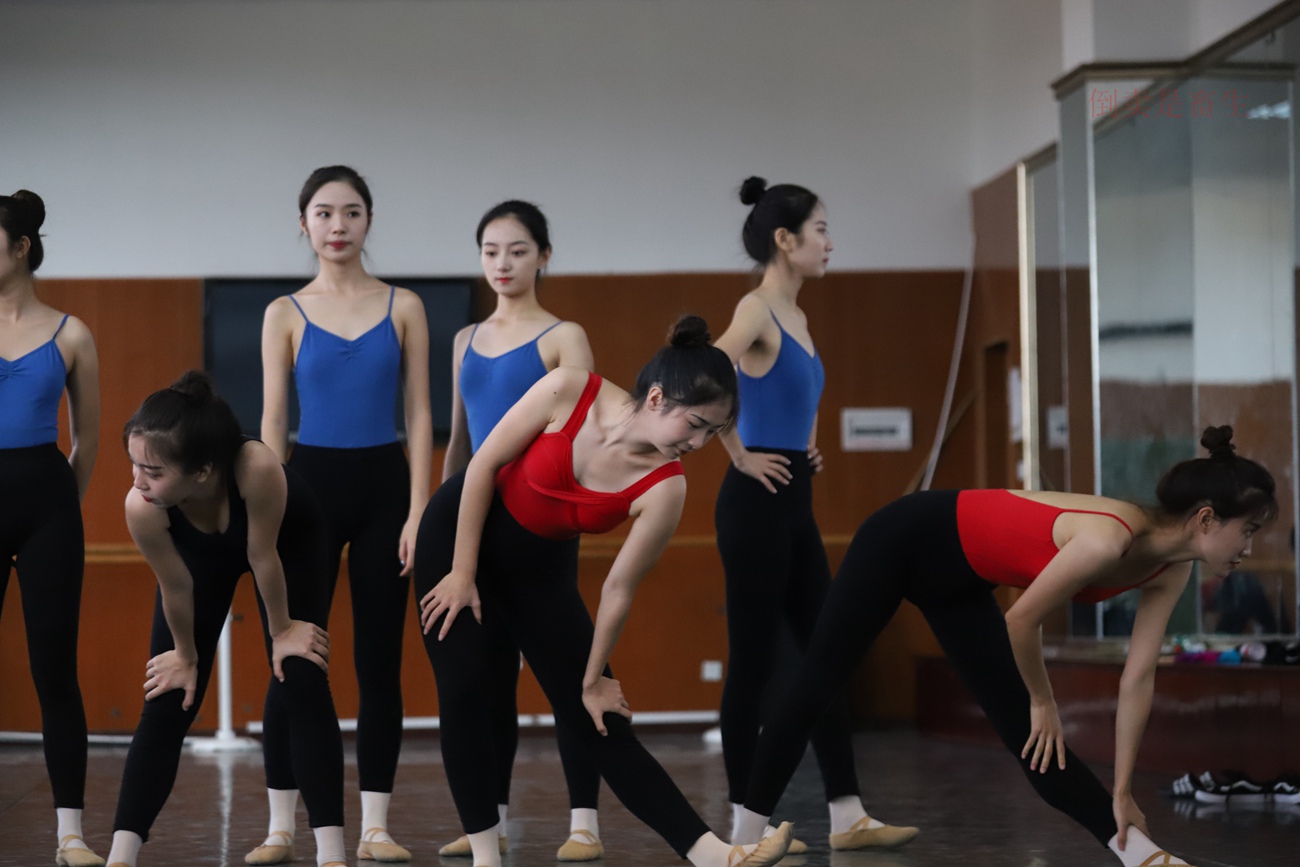 图片[146]-大西瓜爱牙膏-早期作品-W003 舞蹈芭裤 002 [154P] – 速更版-美库