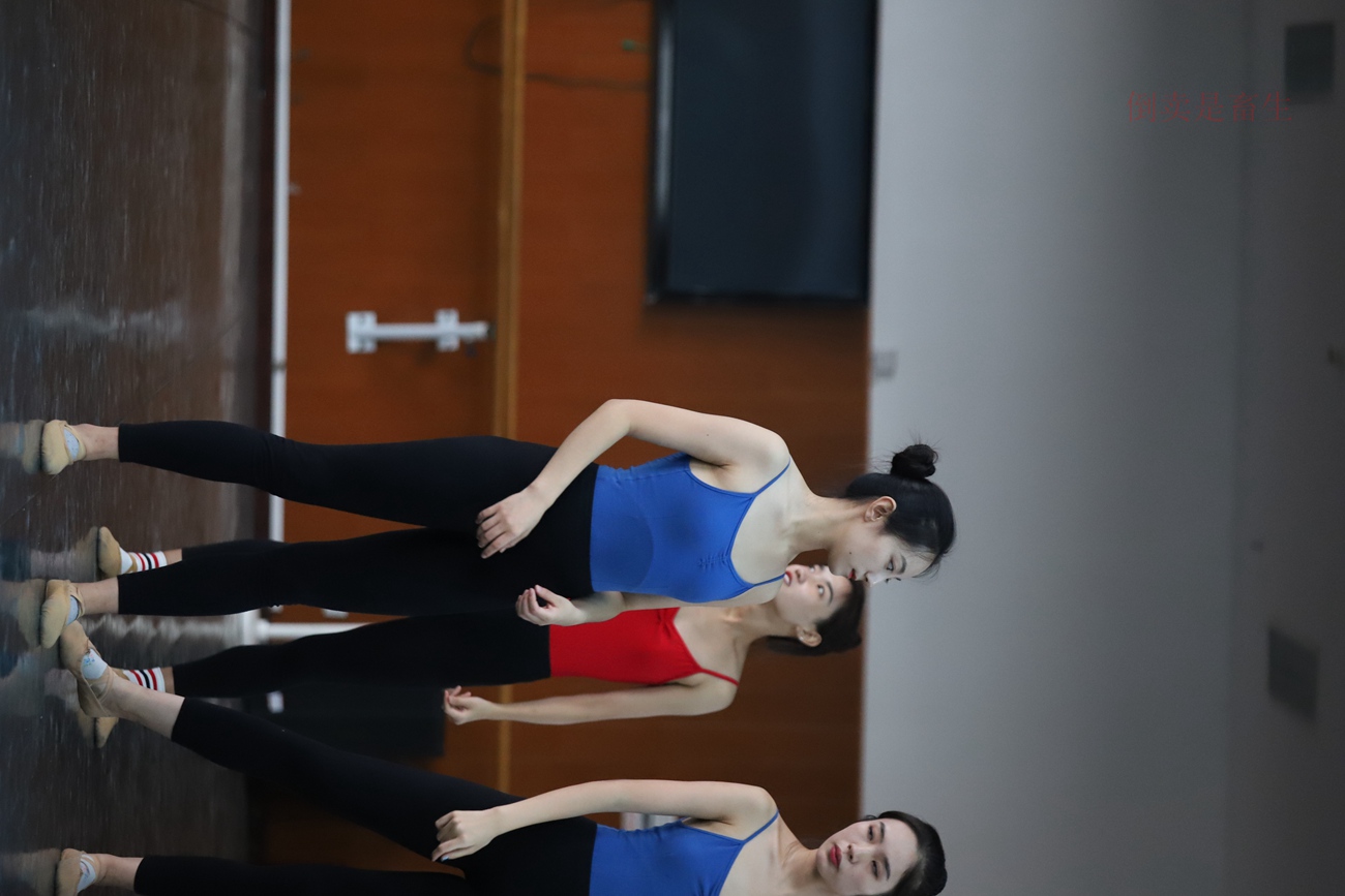 图片[35]-大西瓜爱牙膏-早期作品-W003 舞蹈芭裤 004 [163P] – 速更版-美库