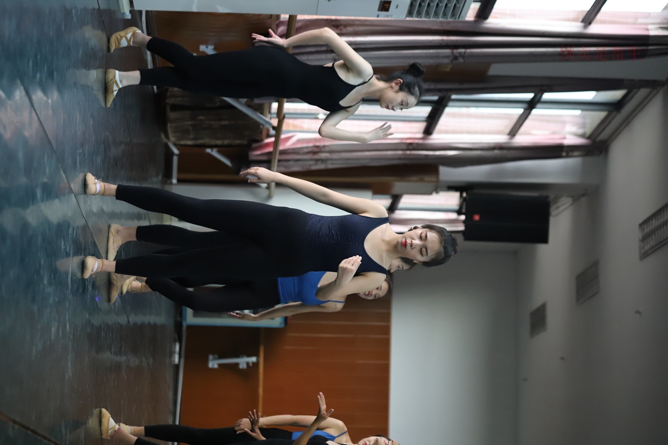 图片[45]-大西瓜爱牙膏-早期作品-W003 舞蹈芭裤 004 [163P] – 速更版-美库