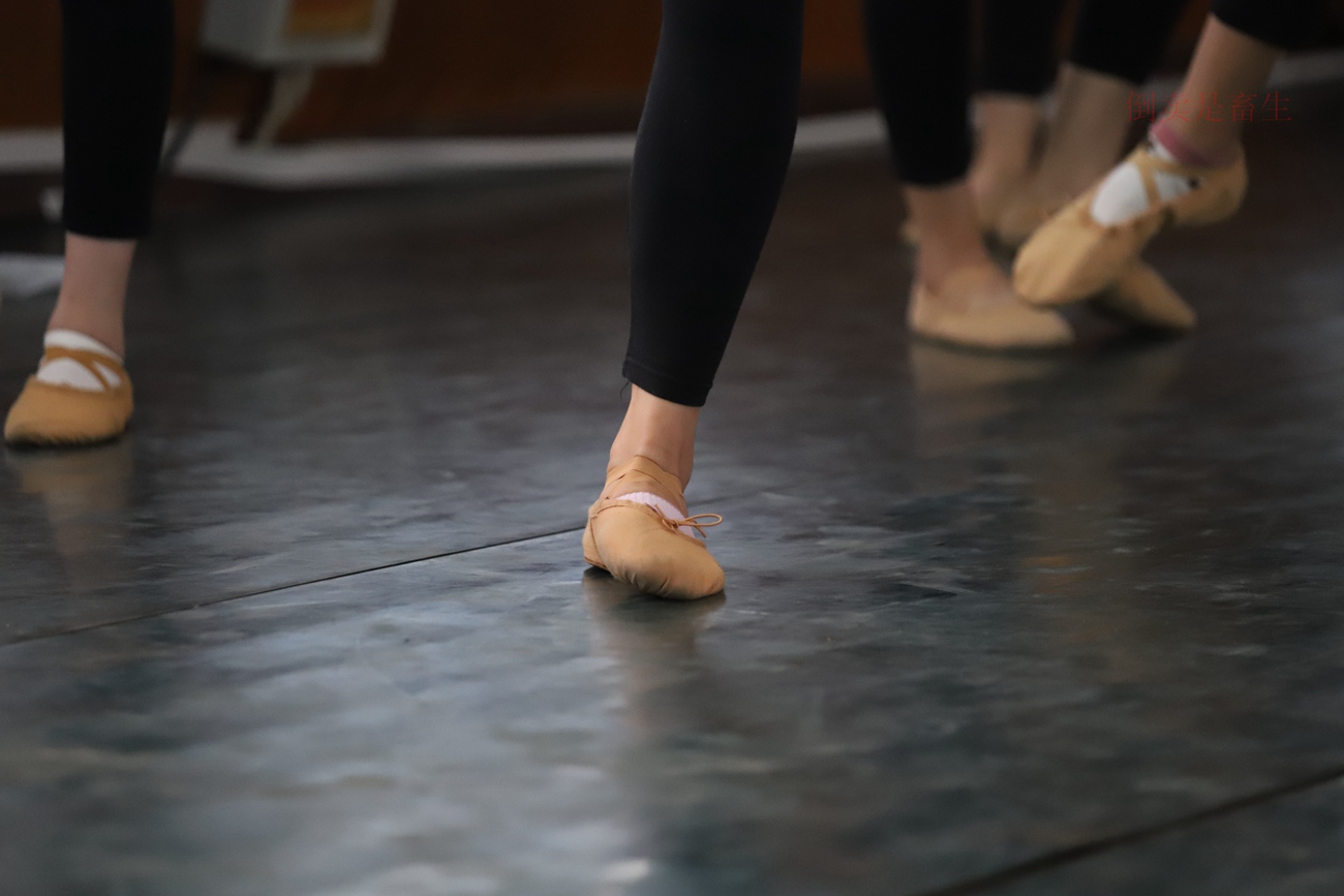 图片[64]-大西瓜爱牙膏-早期作品-W003 舞蹈芭裤 004 [163P] – 速更版-美库