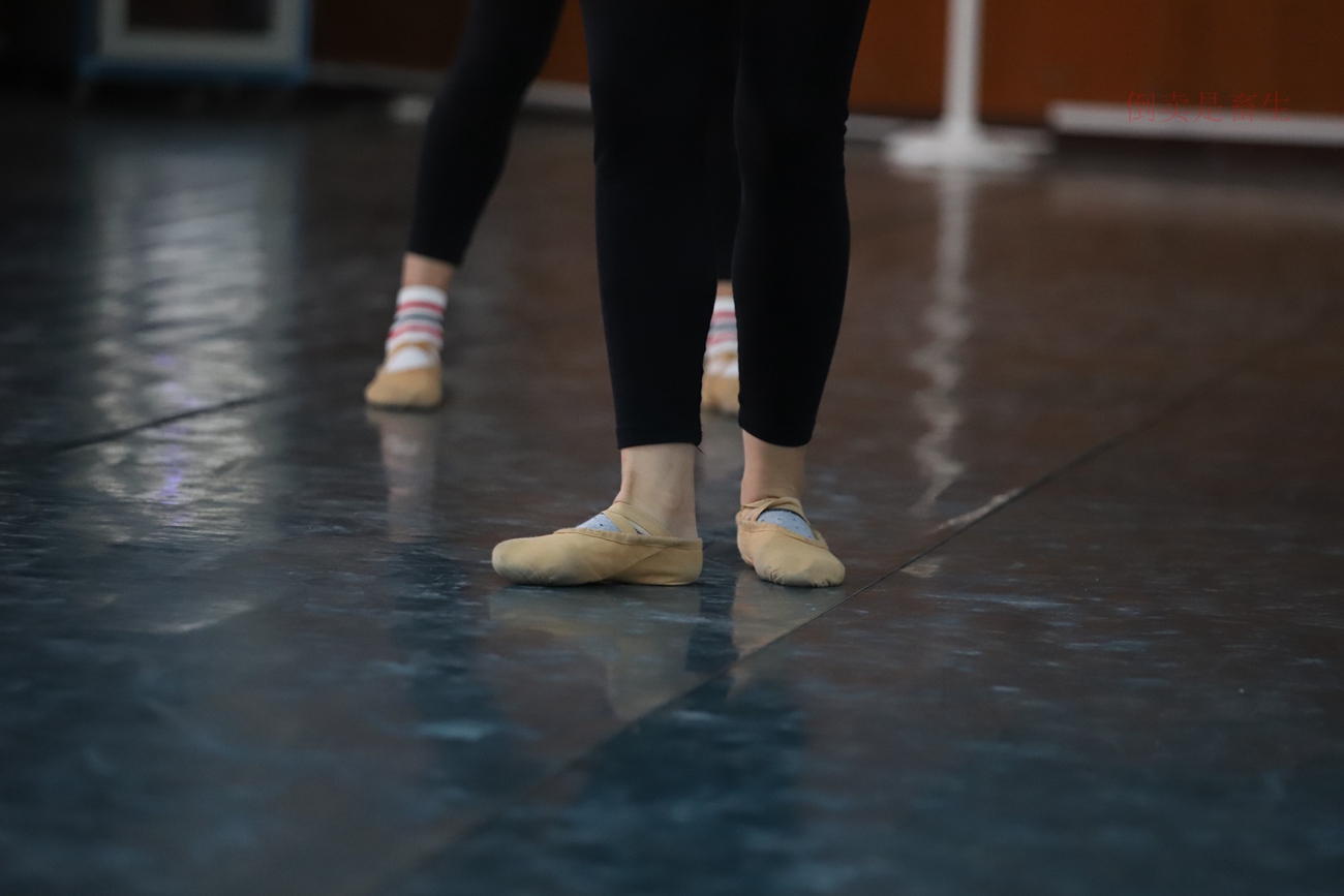 图片[66]-大西瓜爱牙膏-早期作品-W003 舞蹈芭裤 004 [163P] – 速更版-美库