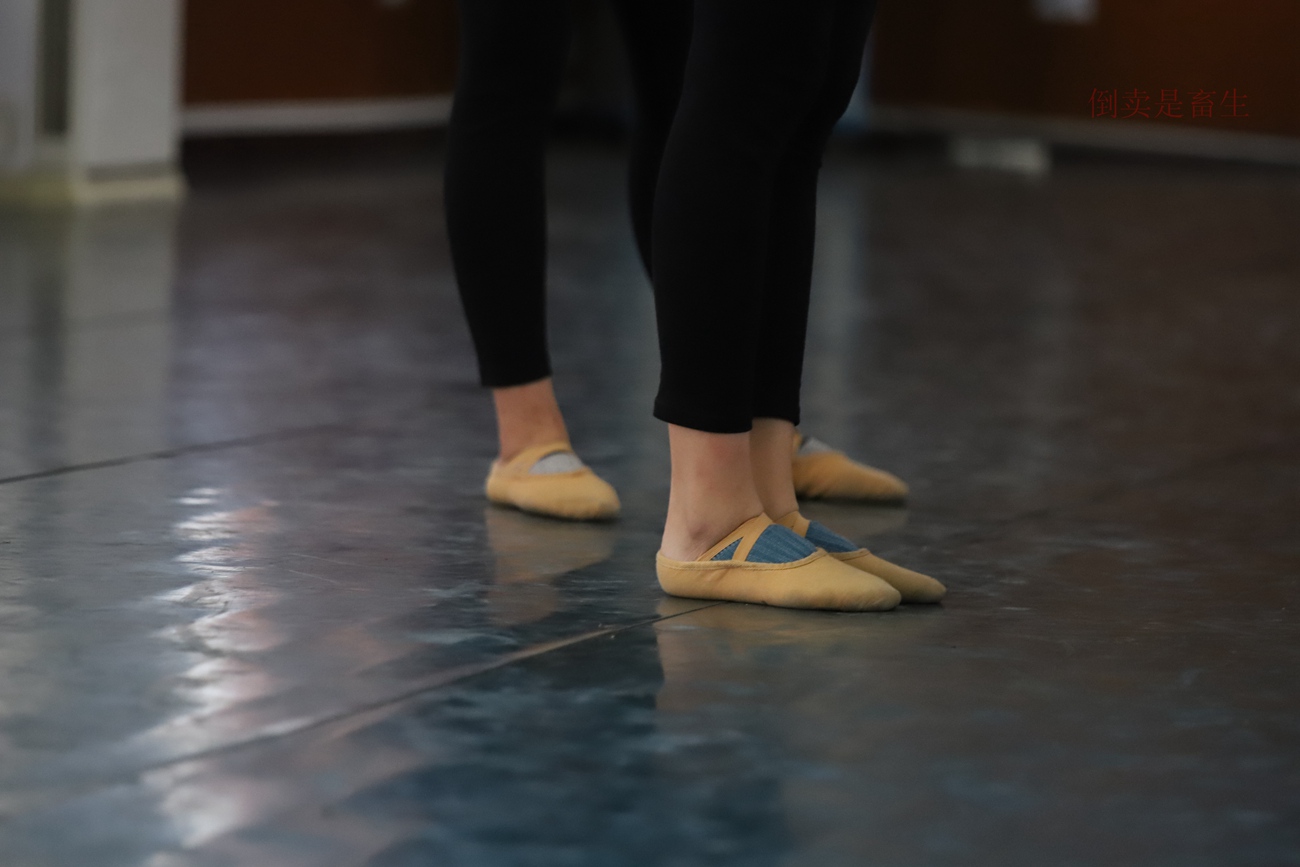 图片[77]-大西瓜爱牙膏-早期作品-W003 舞蹈芭裤 004 [163P] – 速更版-美库