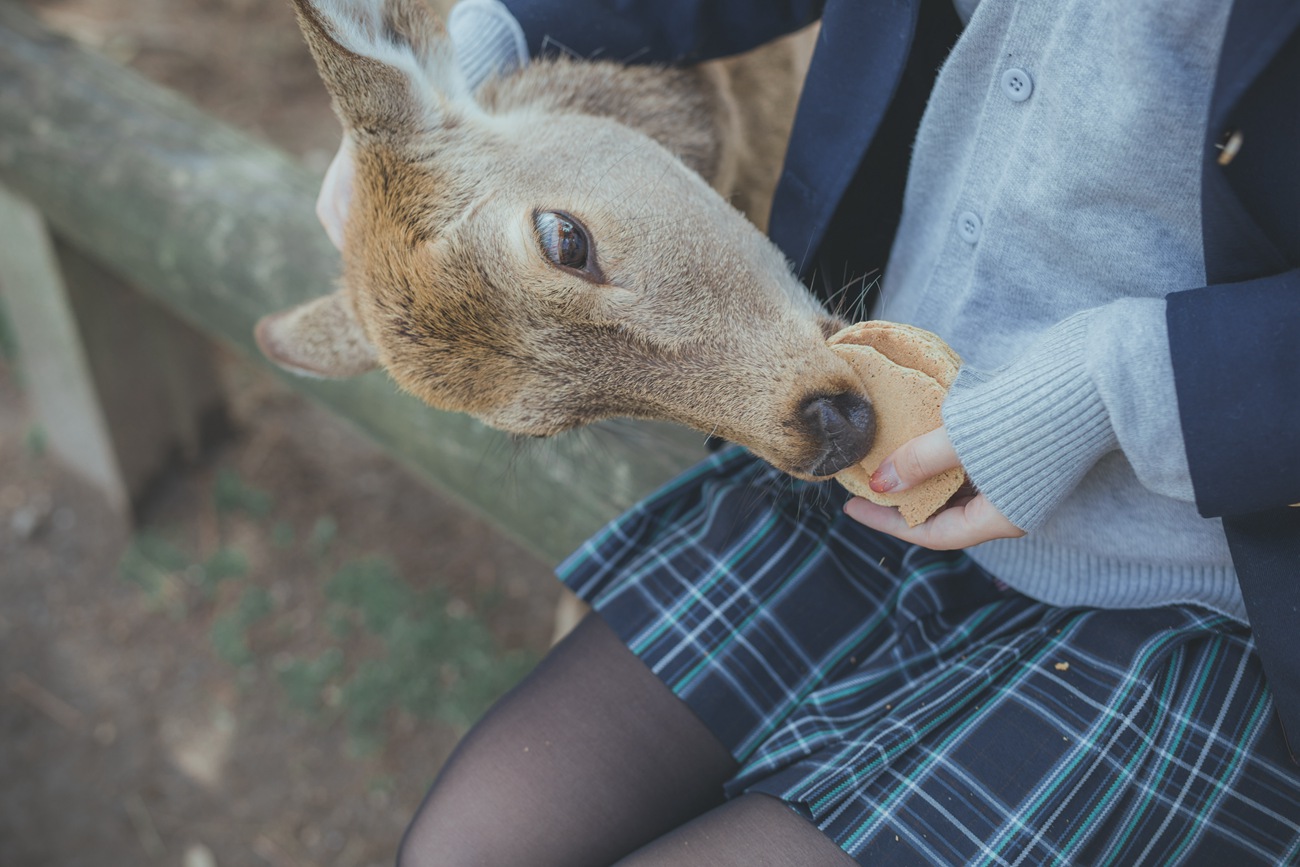 图片[19]-[YITUYU艺图语] 2020.12.16 奈良の夏 川川 [23P] – 速更版-美库