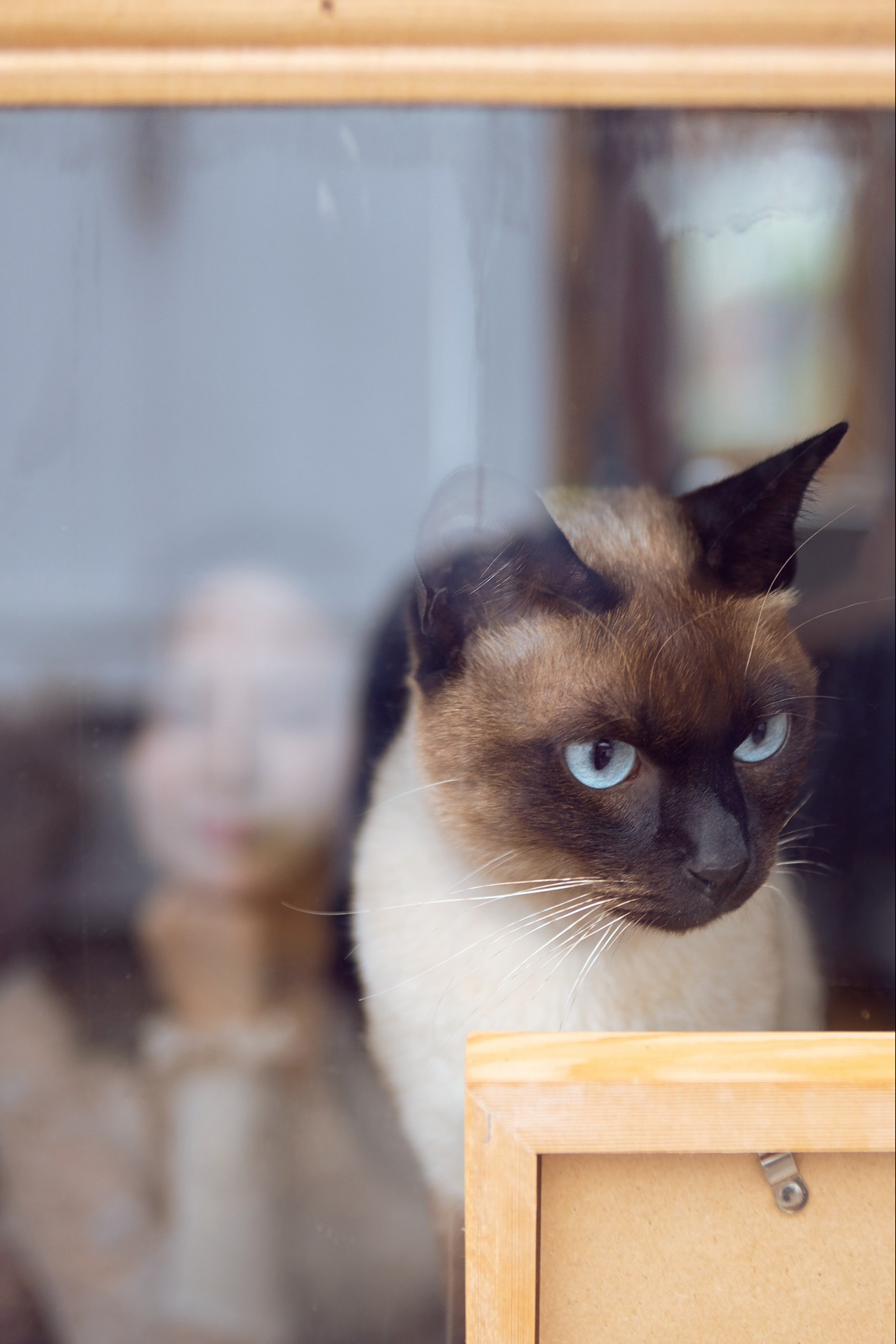 图片[25]-[YITUYU艺图语] 2020.12.28 爱的寄托 毛毛 [29P] – 速更版-美库